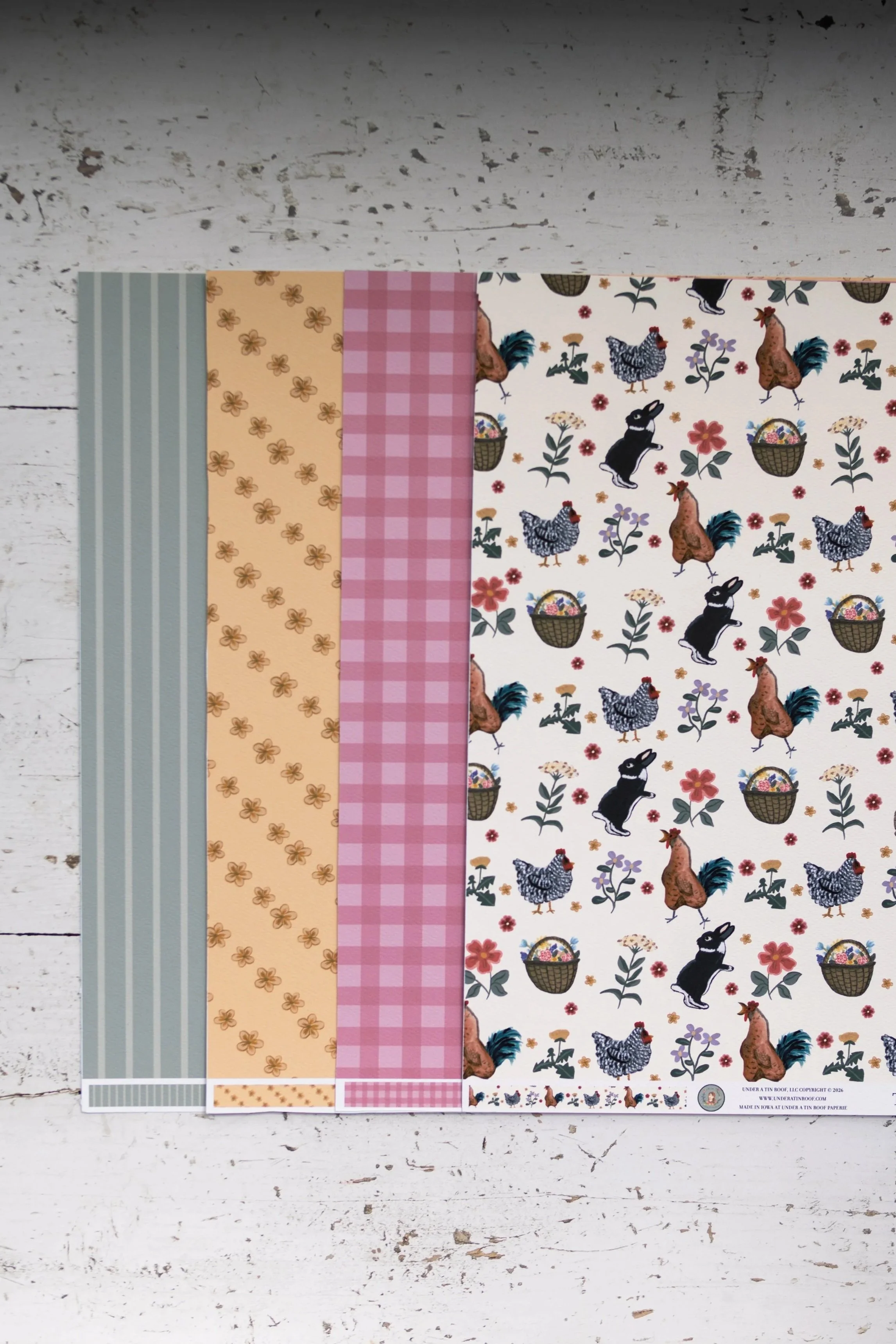 chickencollectionset-4.jpg
