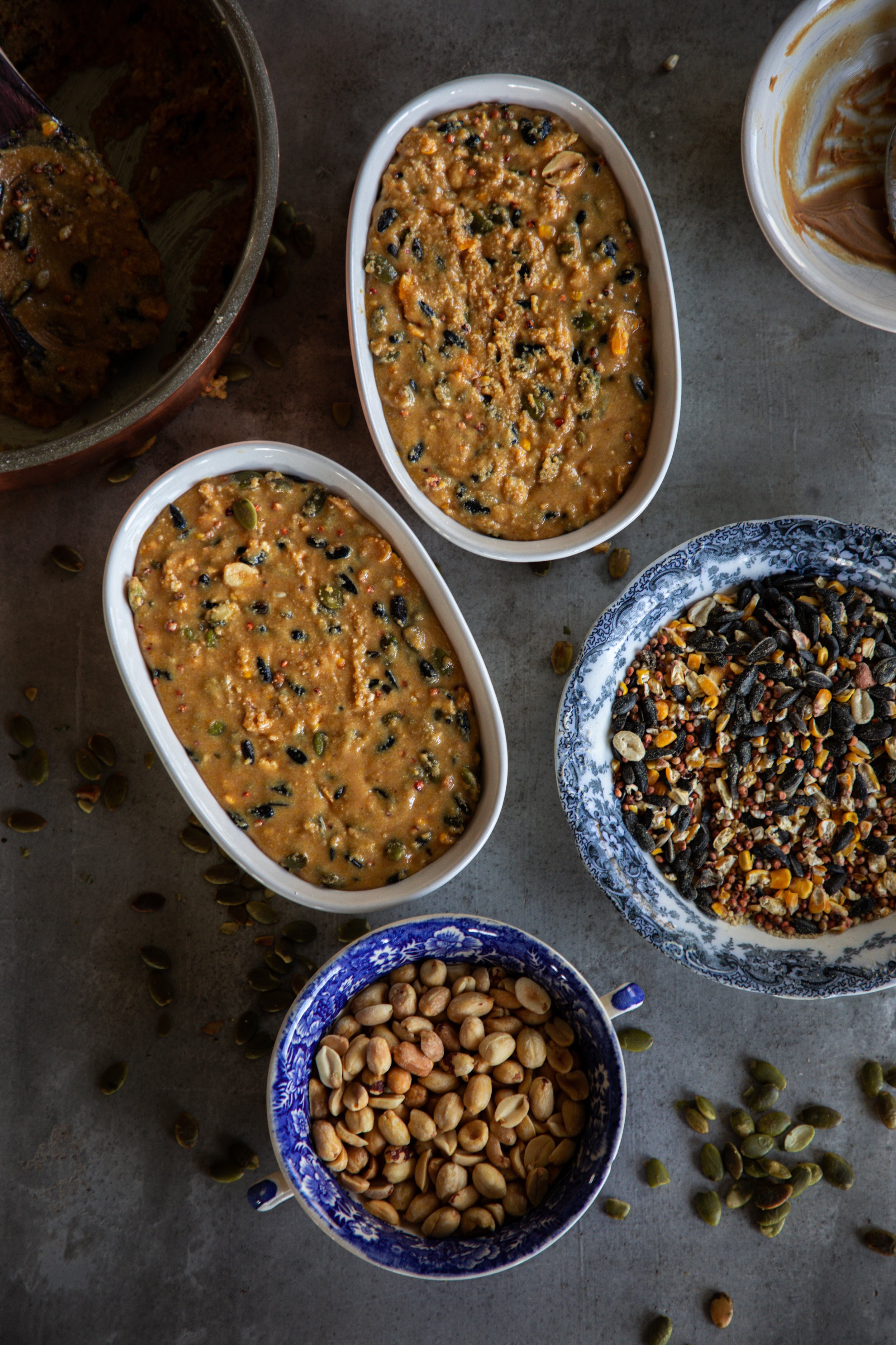 How To Make Homemade Suet For Birds