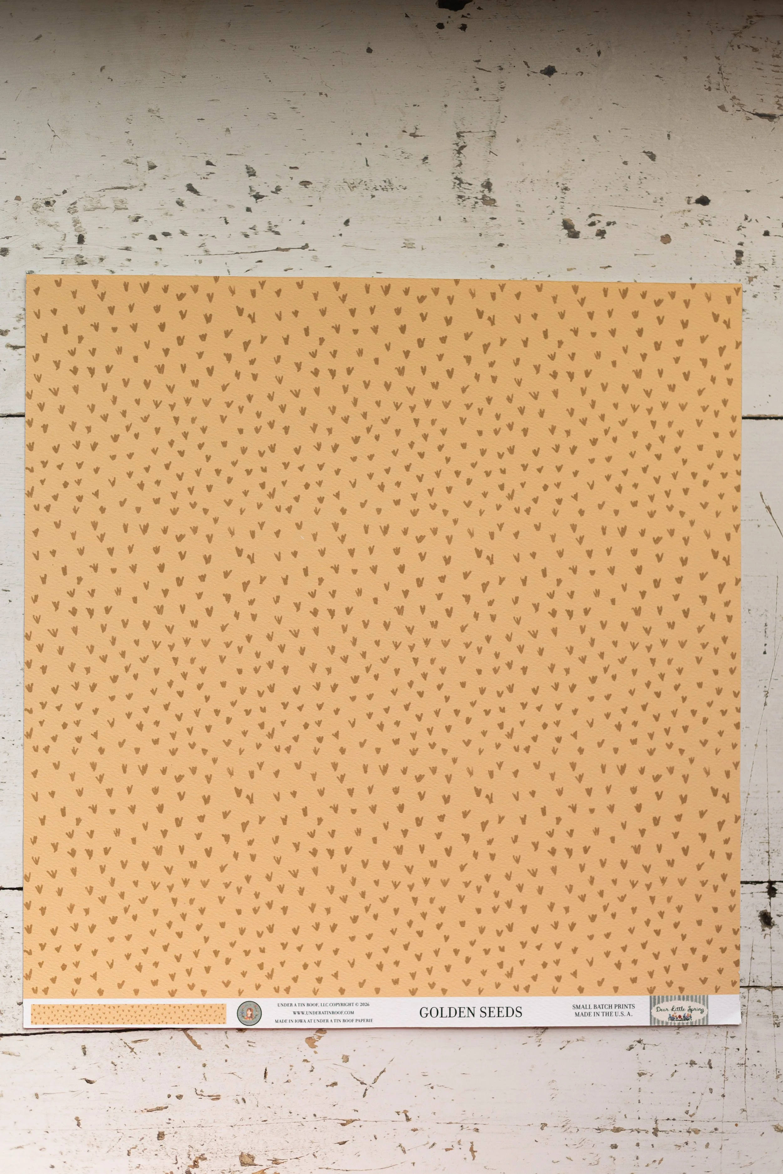 goldenseeds-2.jpg