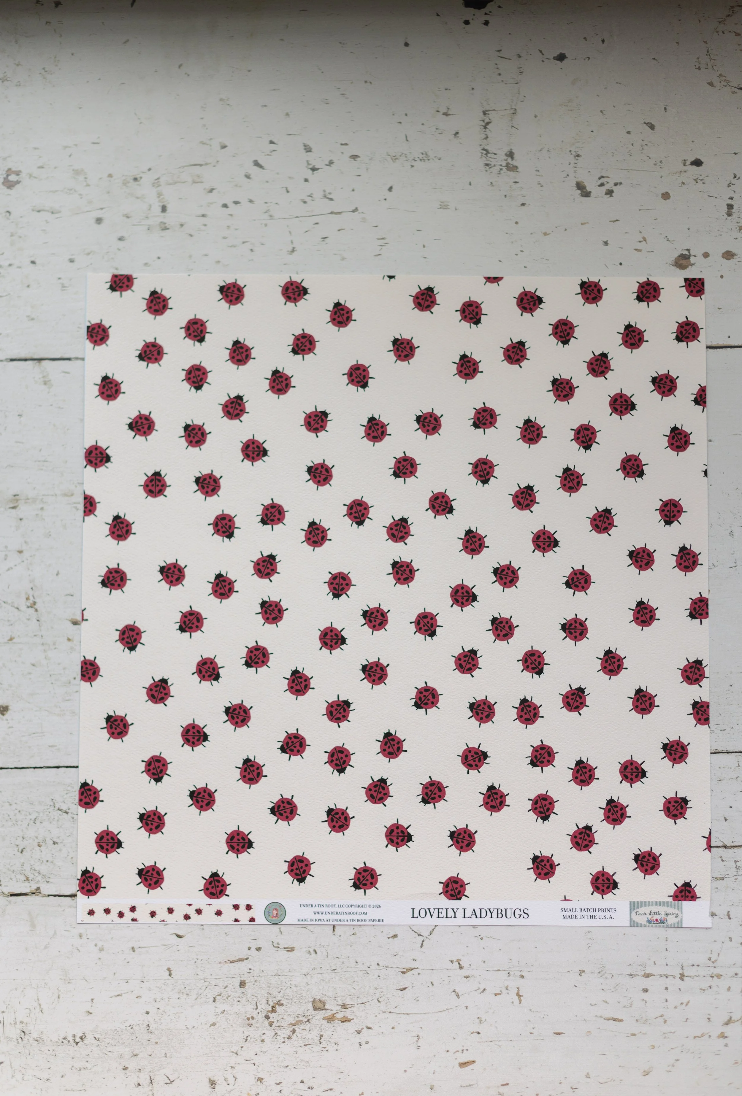 lovelyladybugs-4.jpg