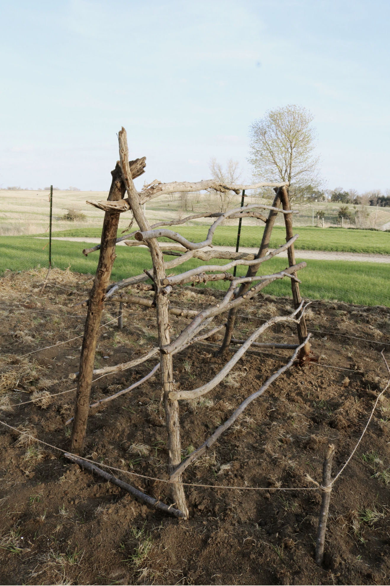 Rustic Trellis Ideas: How to Add Whimsy to Your Garden — Under A Tin Roof