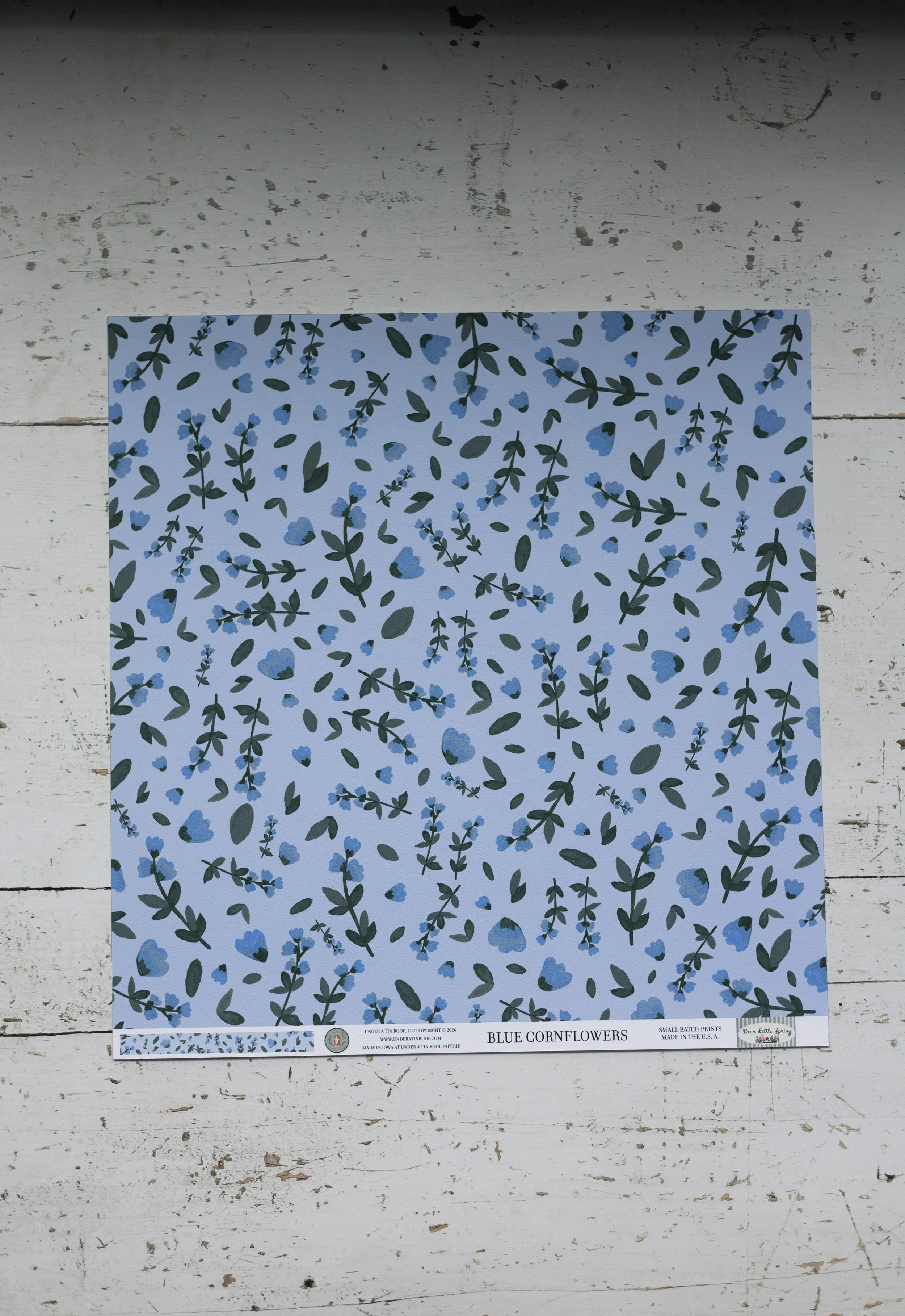 bluecornflowers-2.jpg
