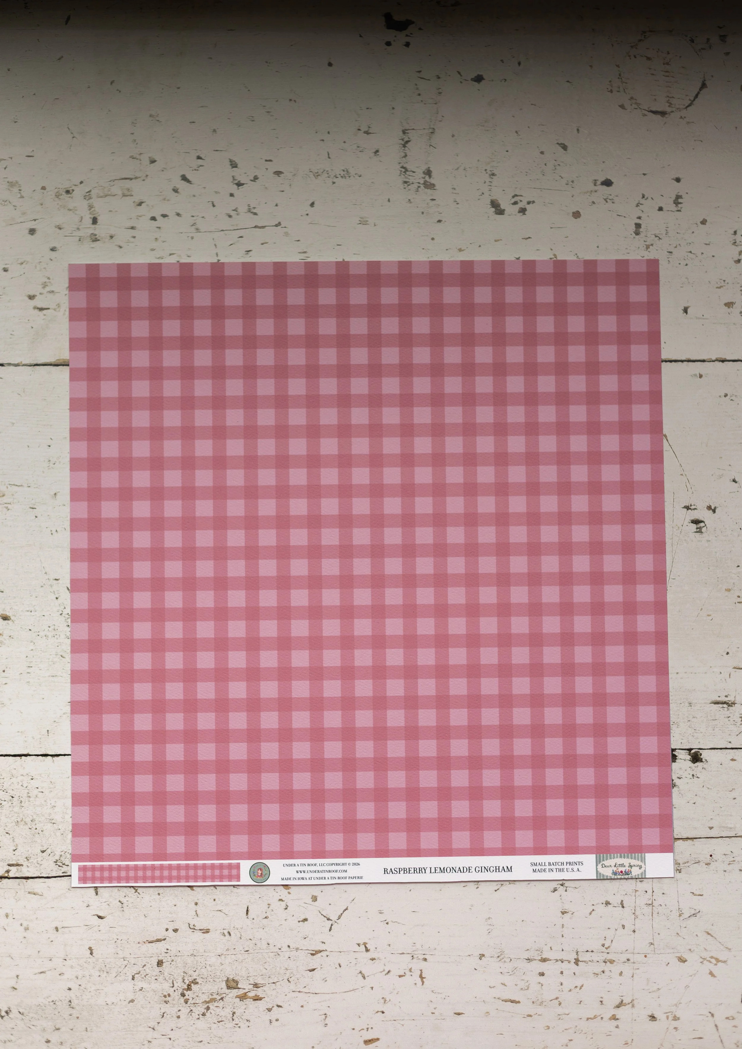 raspberrylemonadegingham-4.jpg