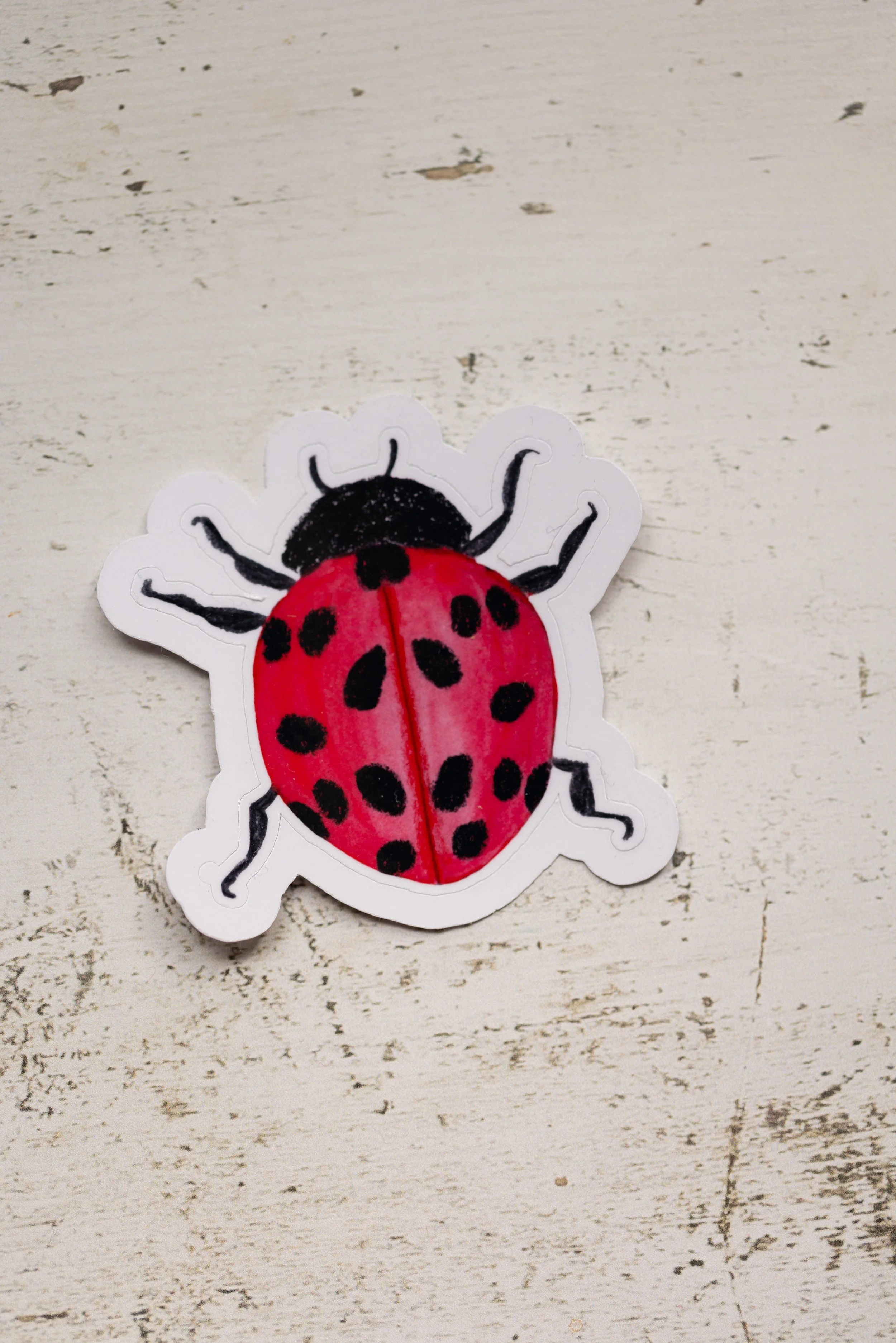 ladybugsticker-1.jpg