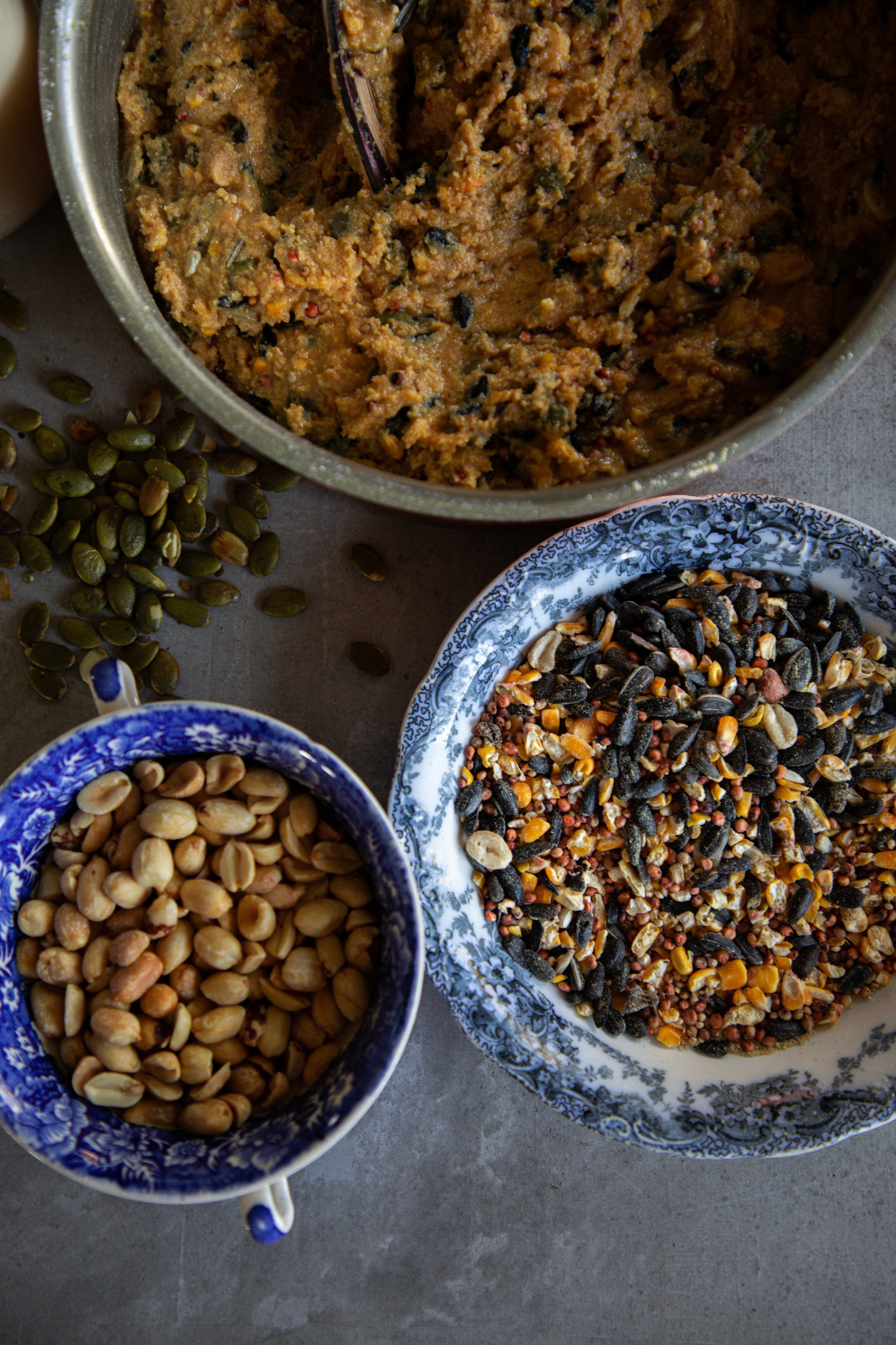 How To Make Homemade Suet For Birds