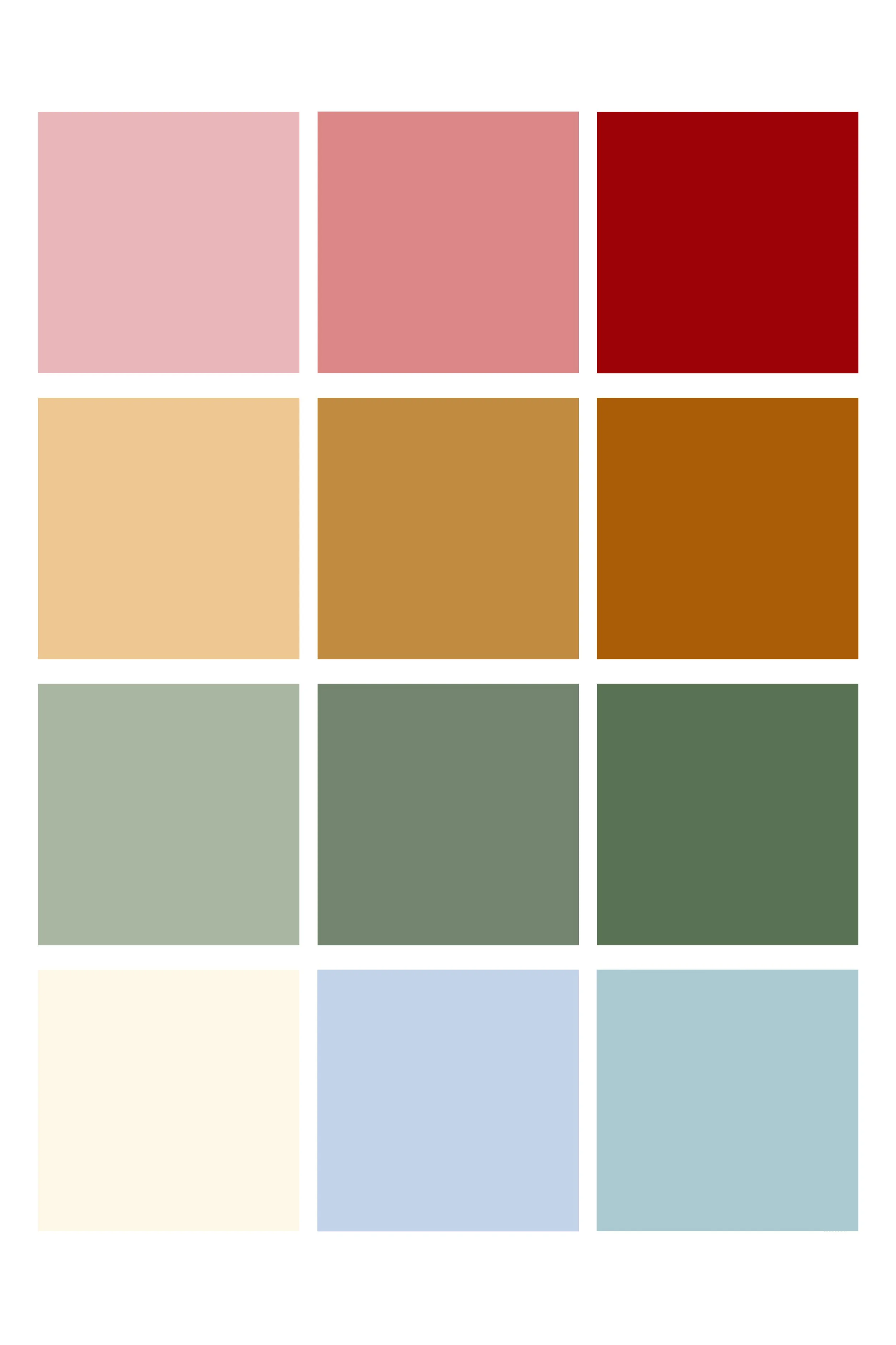 solidpacks-allcolors copy.jpg