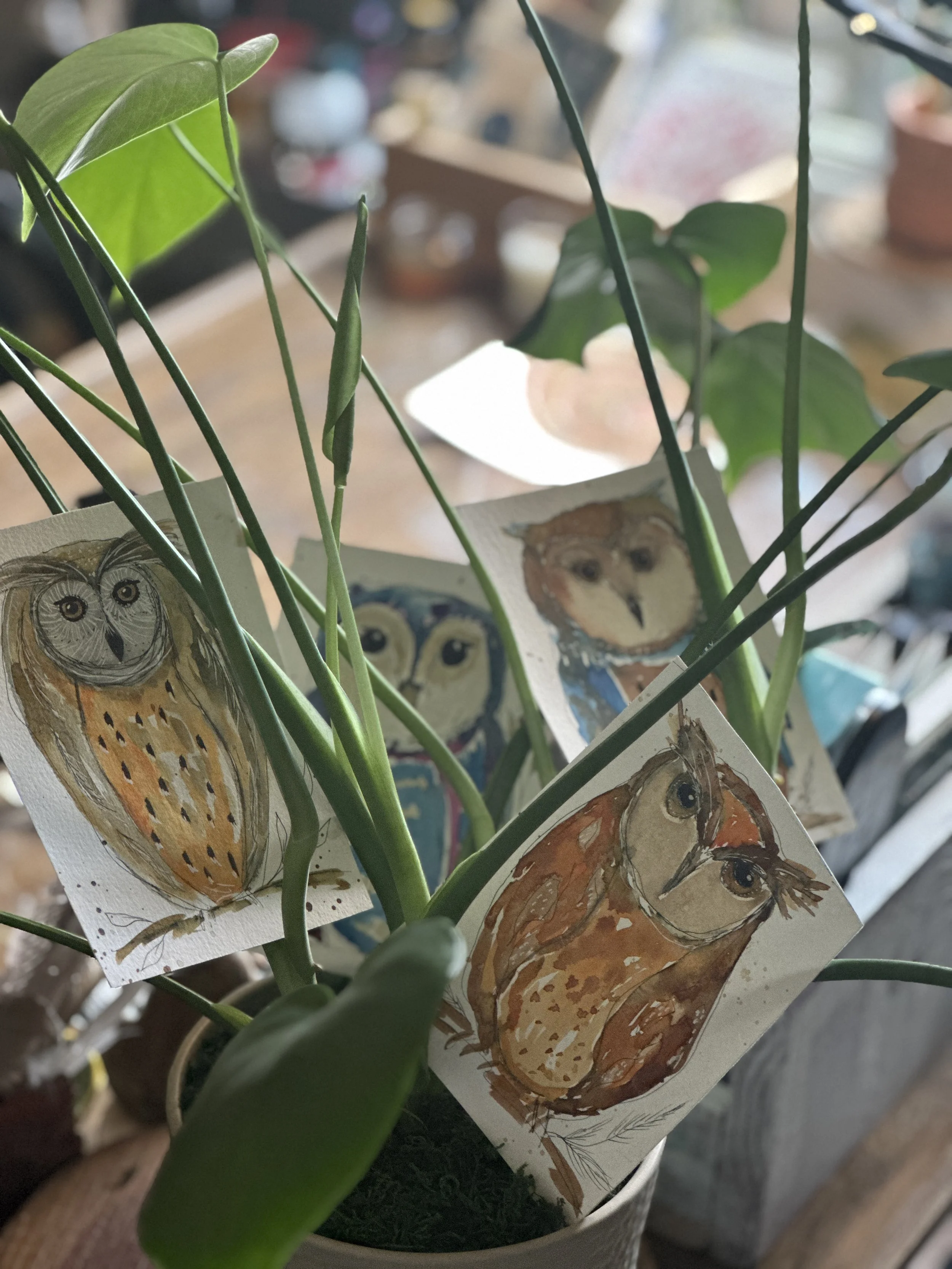 IMG_2212.jpg (Copy) (Copy) (Copy)