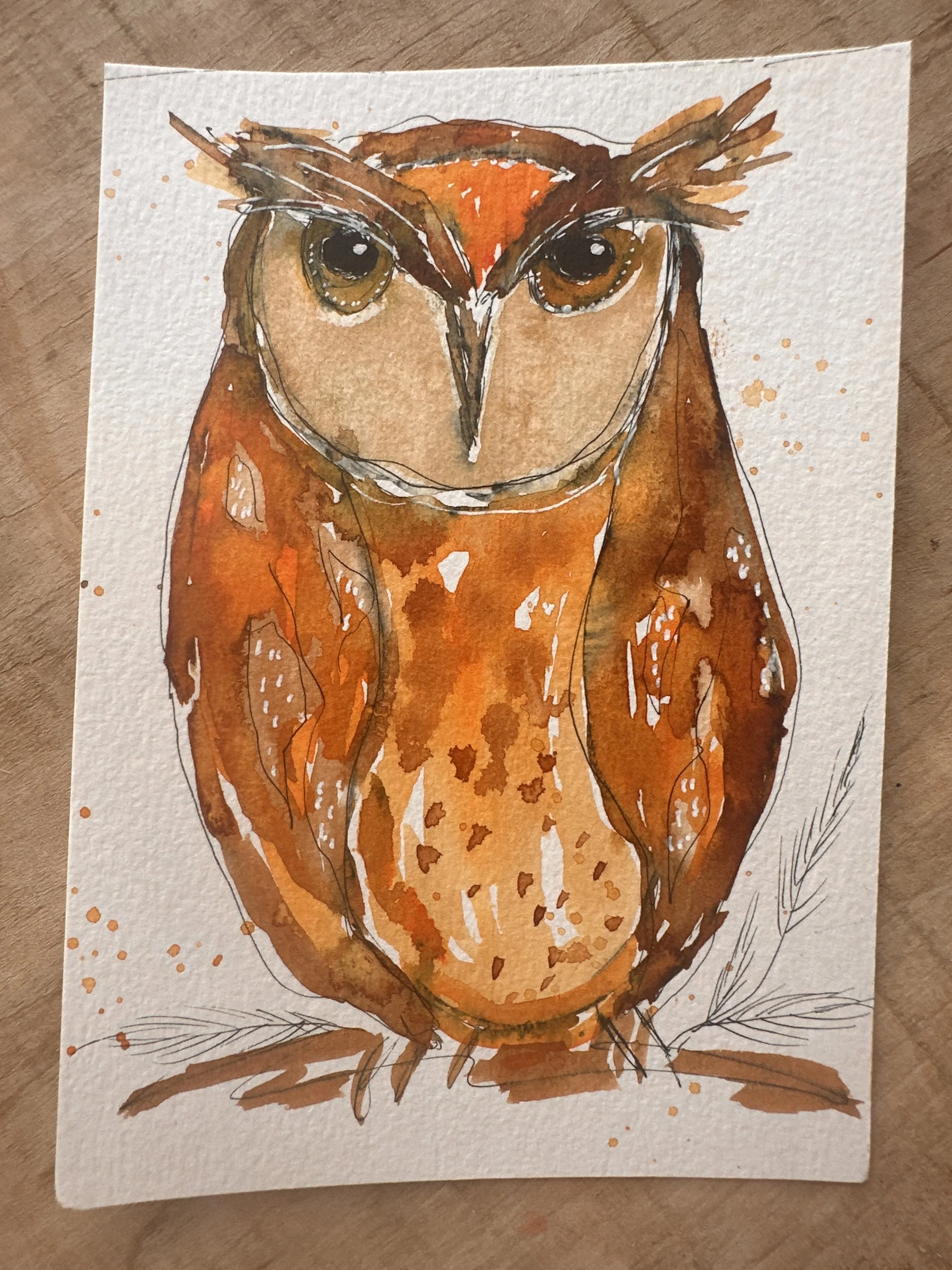 Wise Owl Collection - The Missing Flock - "Sir Hootington the Hidden"