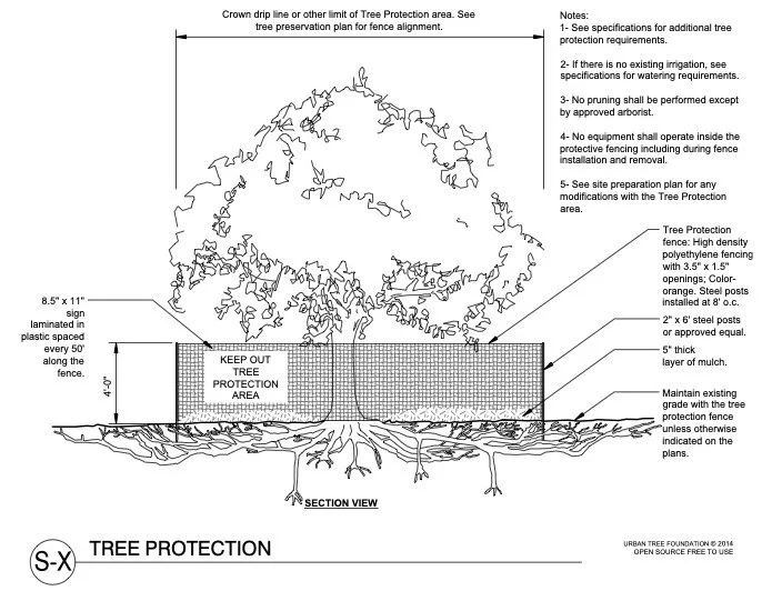 Tree Preservation and Management Plans