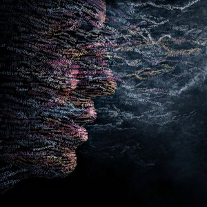 Natural Language Processing (NLP)