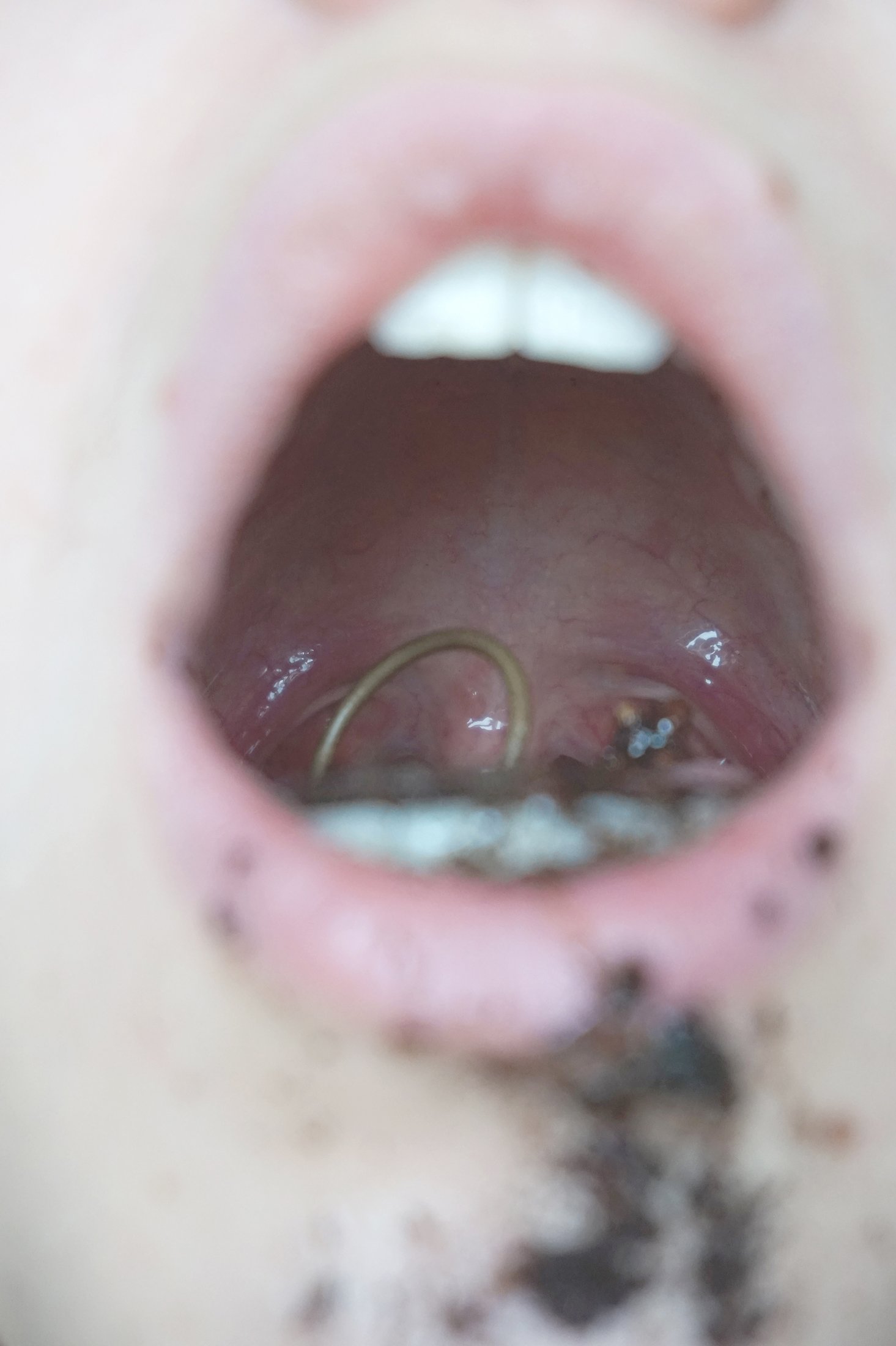 DSC01381_web.jpg
