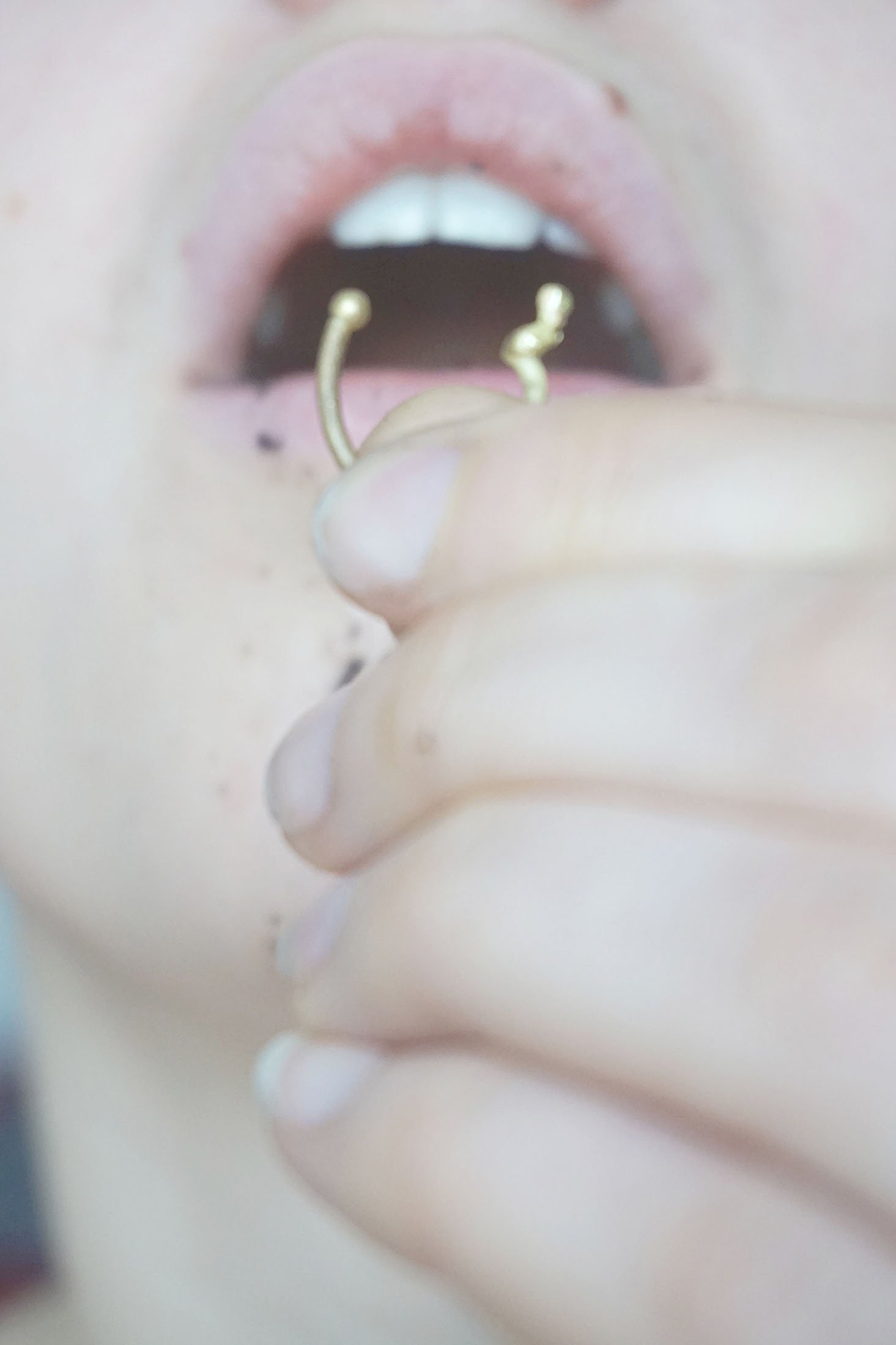 DSC01394_web.jpg