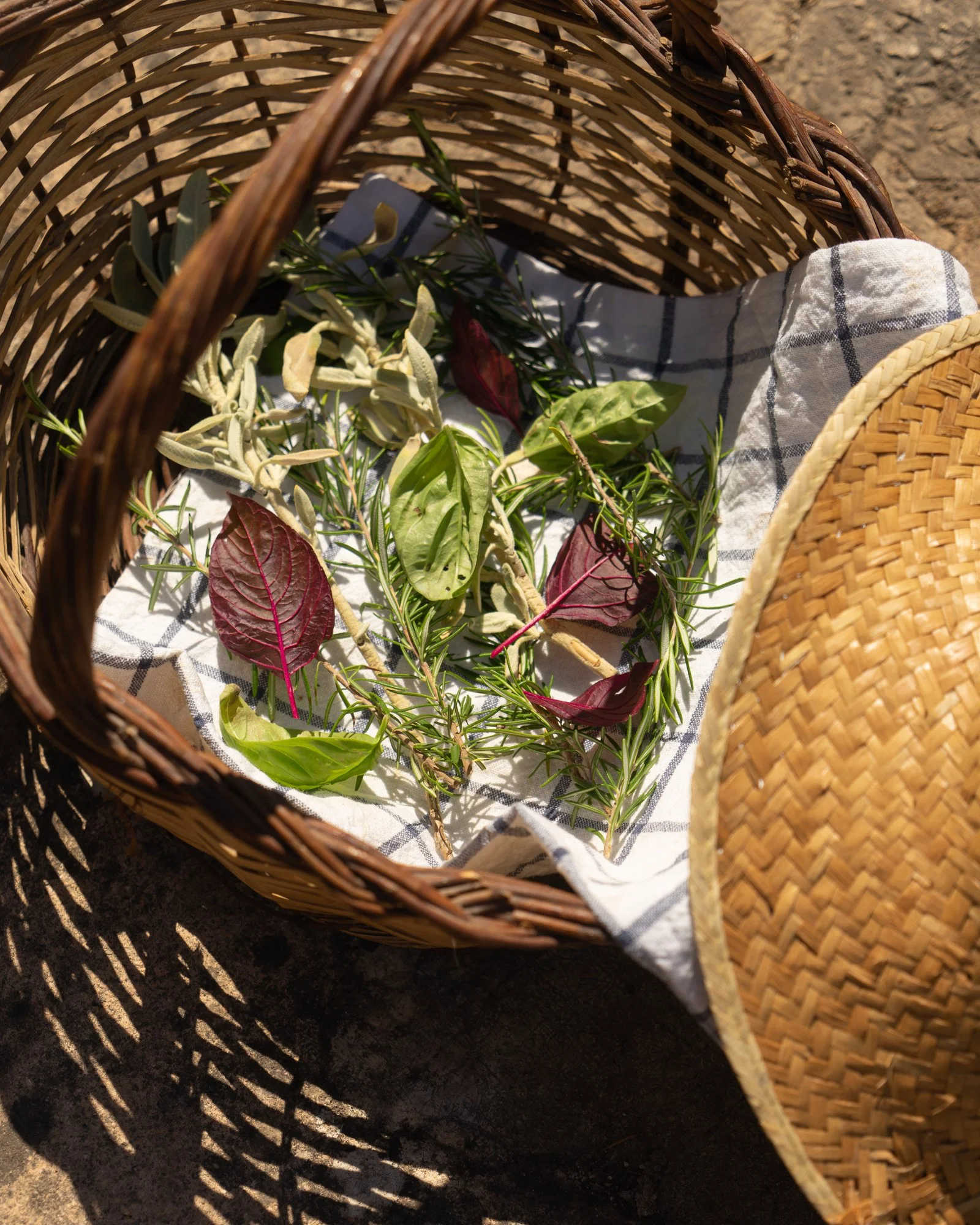 canasta con greens.jpg