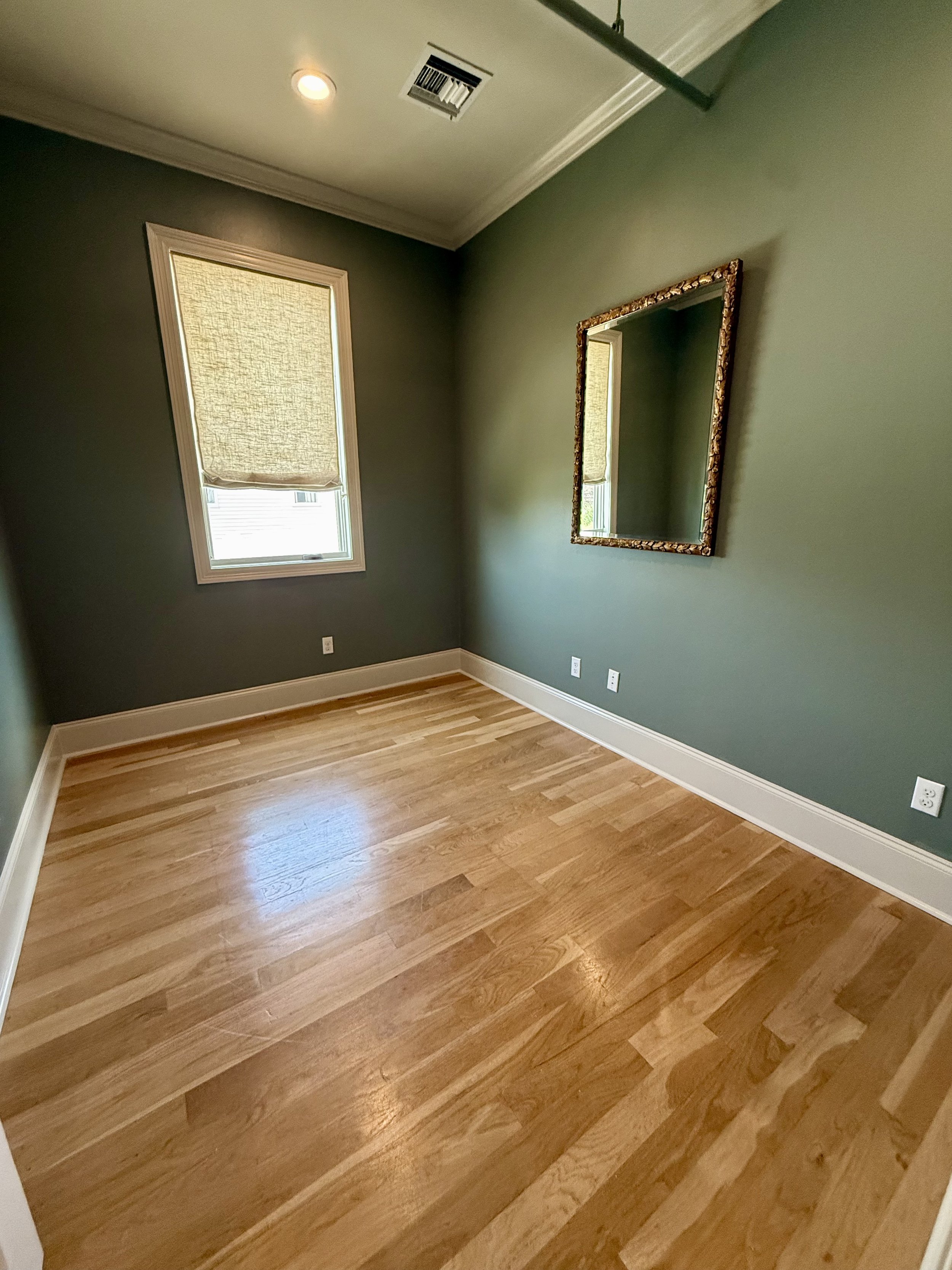 Suite 204 hardwood floor office space green walls gold mirror
