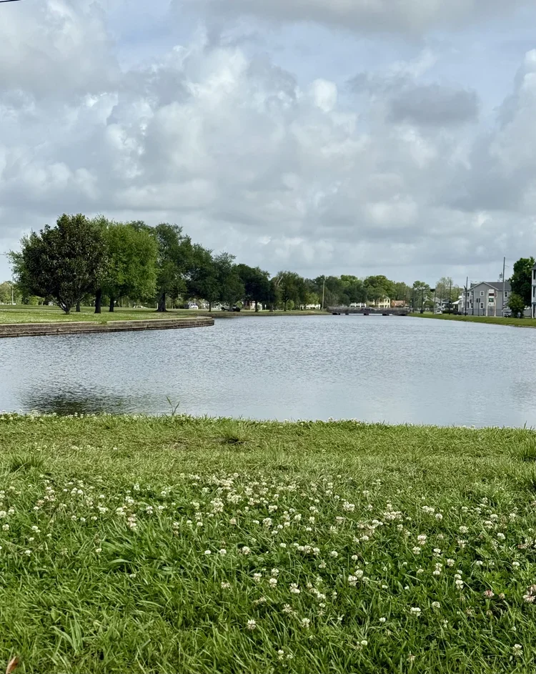 bayou st john in new orleans view of the pond lake bayou with trees and green grass next to private commercial office rental