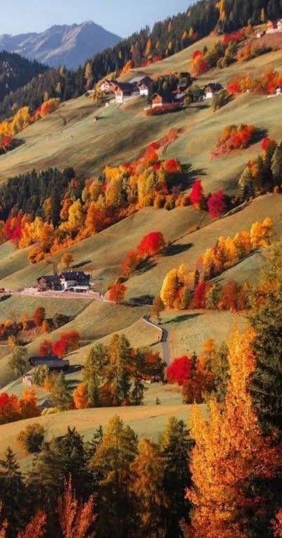 A Season Painted in Color