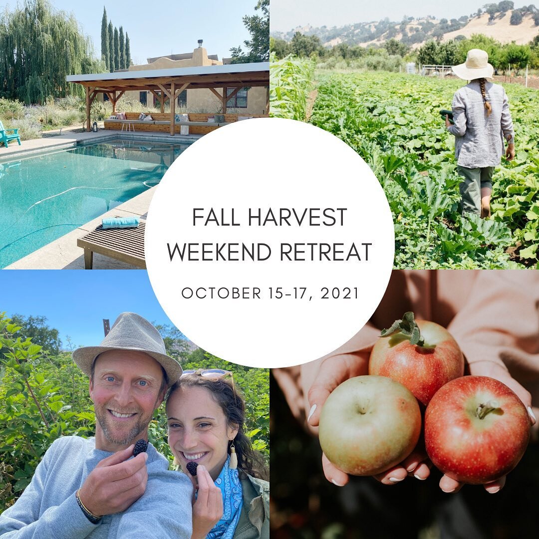 Wow, it&rsquo;s been a minute since I&rsquo;ve been on here, and I must say, it&rsquo;s been quite sweet;) That being said, I wanted to share our upcoming weekend retreat @belovefarm (October 15-17)! 
.
.
Join @natkendallyoga and me at @belovefarm fo