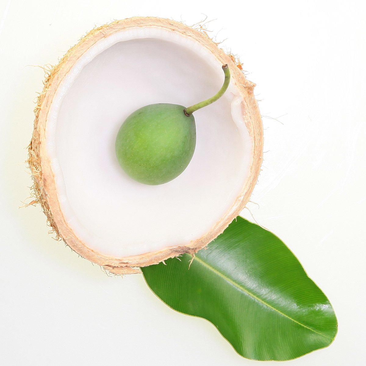 dilo-coconut.jpg