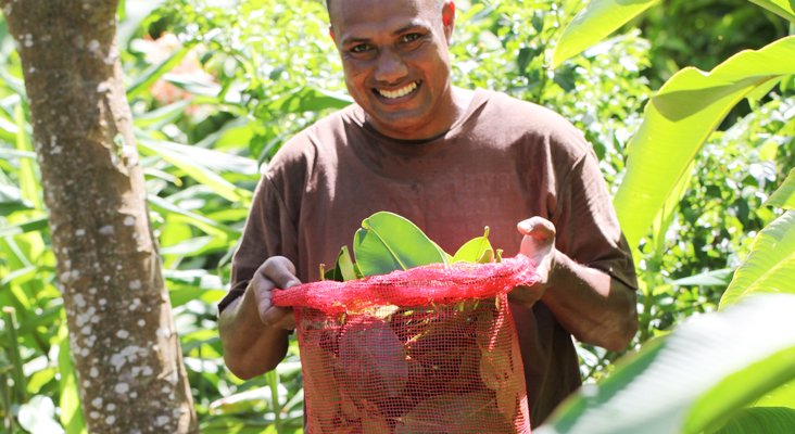 Botanical-Harvester.jpg