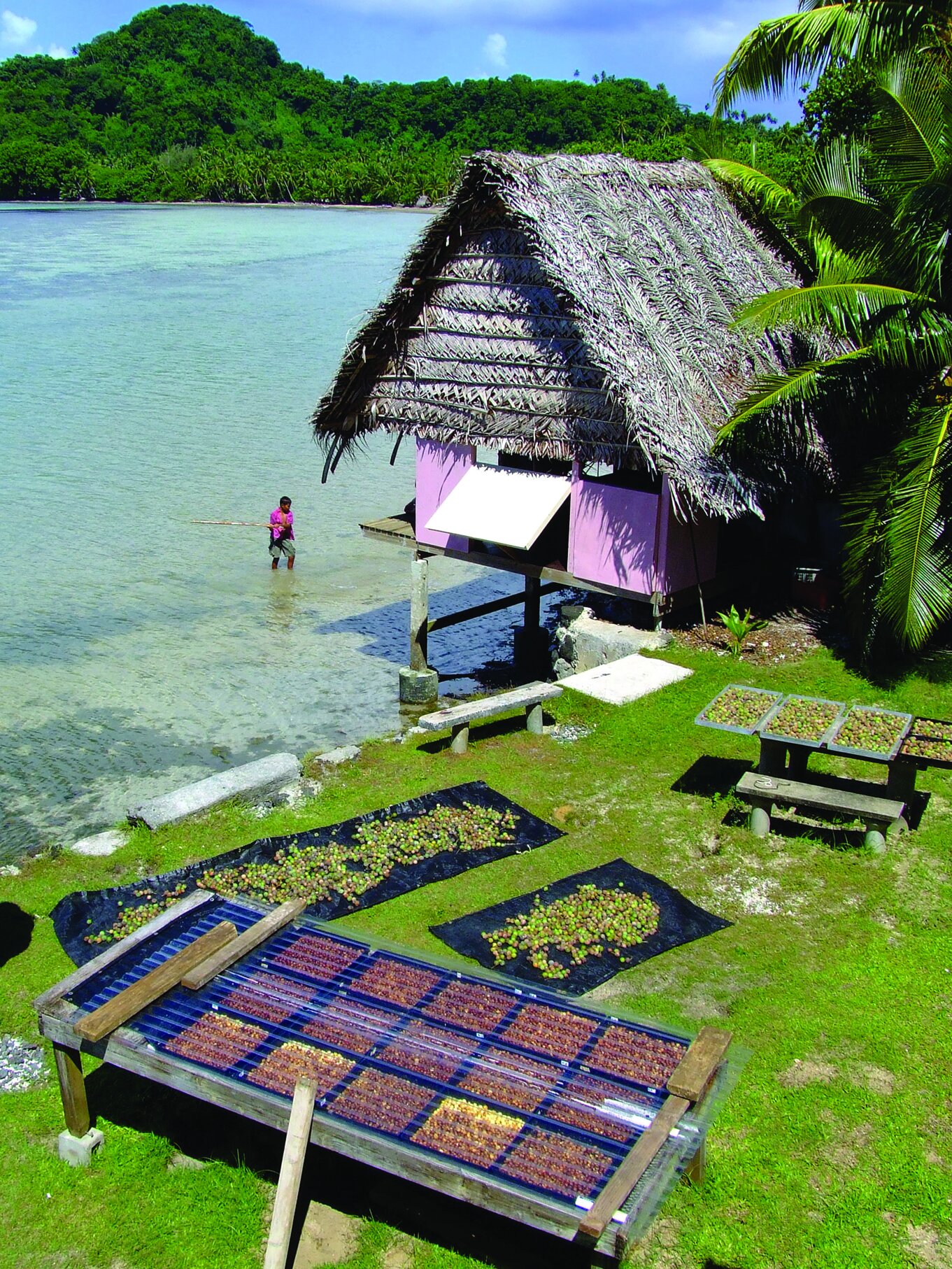 dilo-drying-beach.jpg