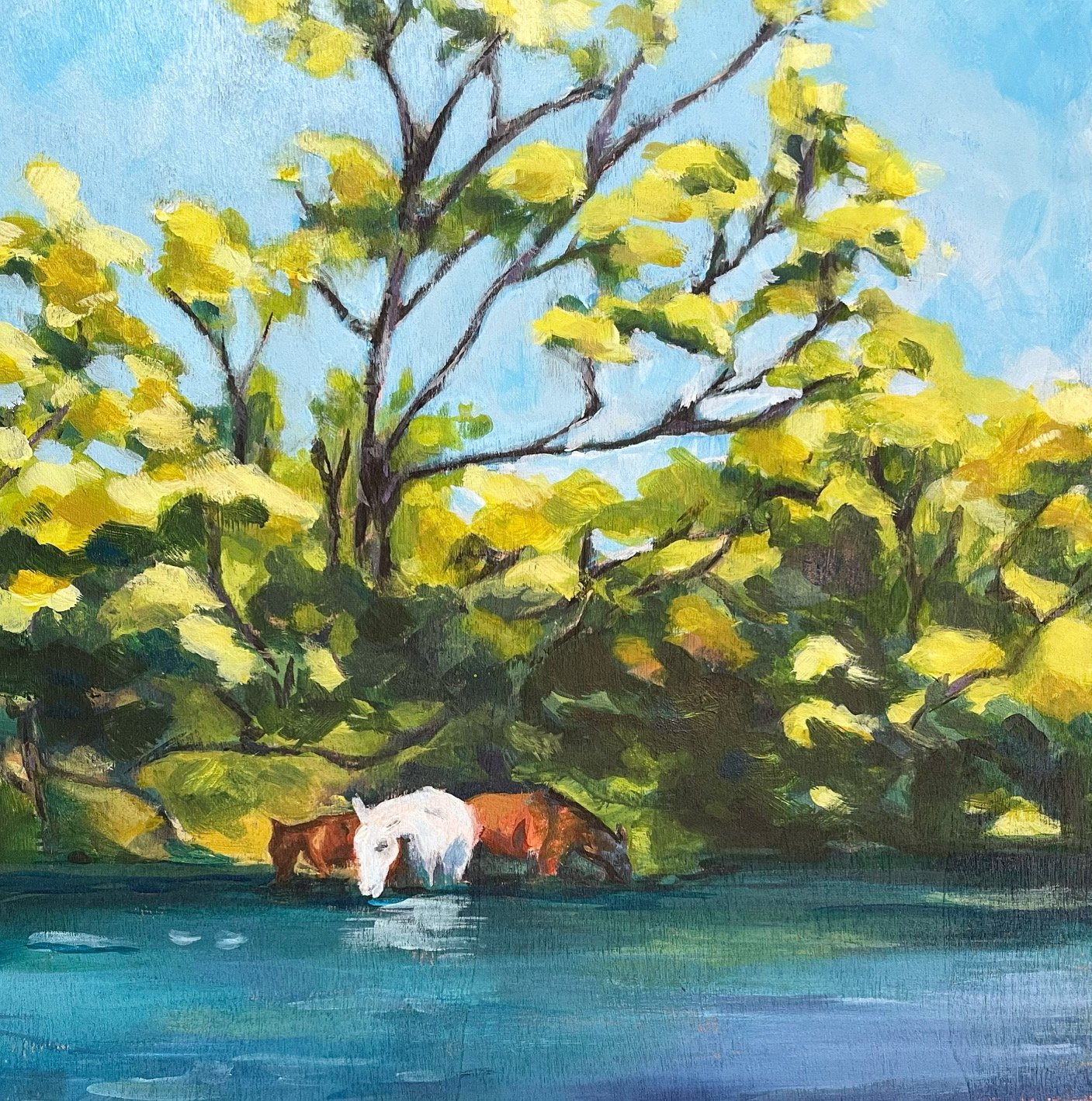 SALT RIVER WILD HORSES.JPG