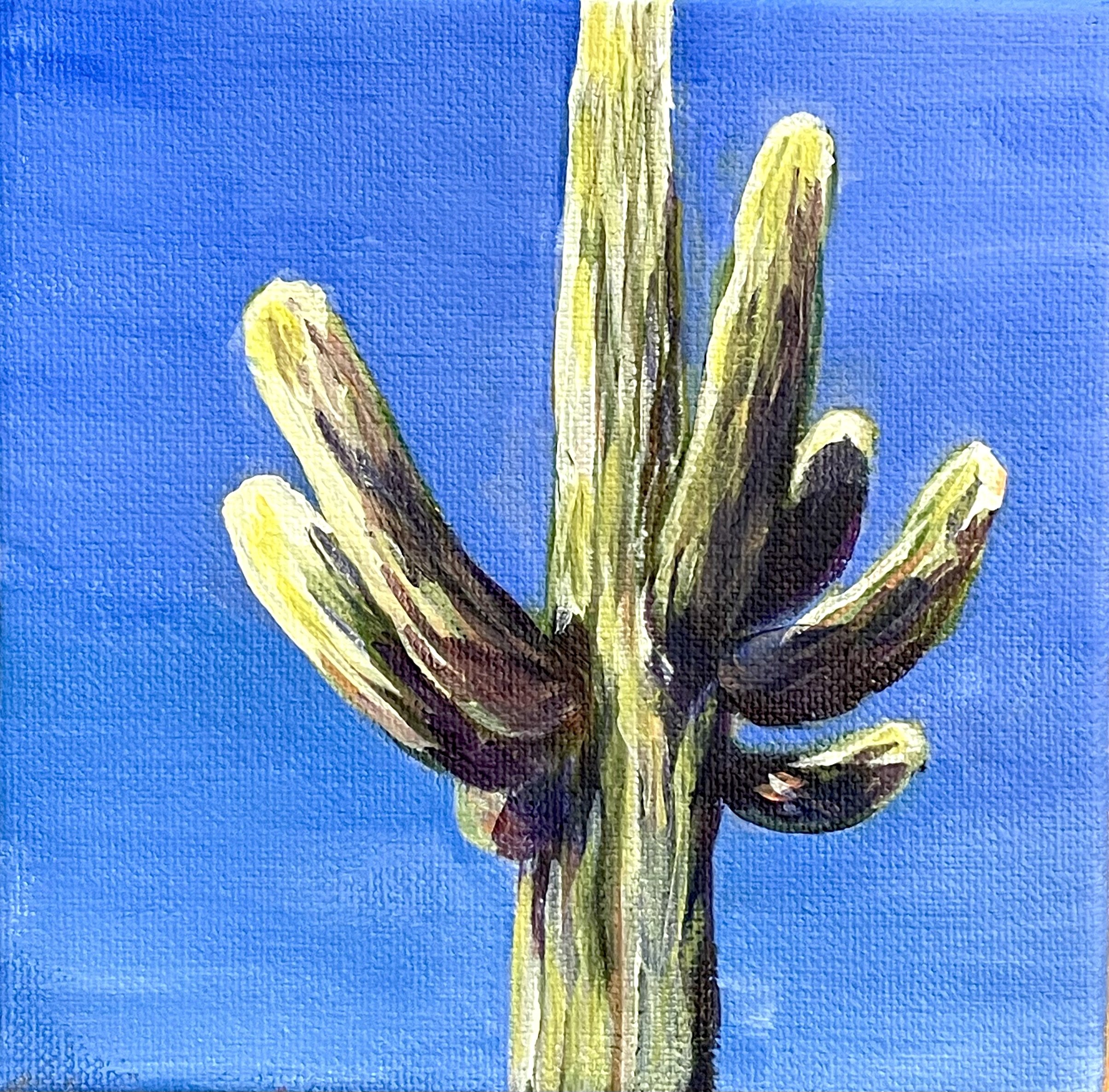 SUNLIT SAGUARO.jpg