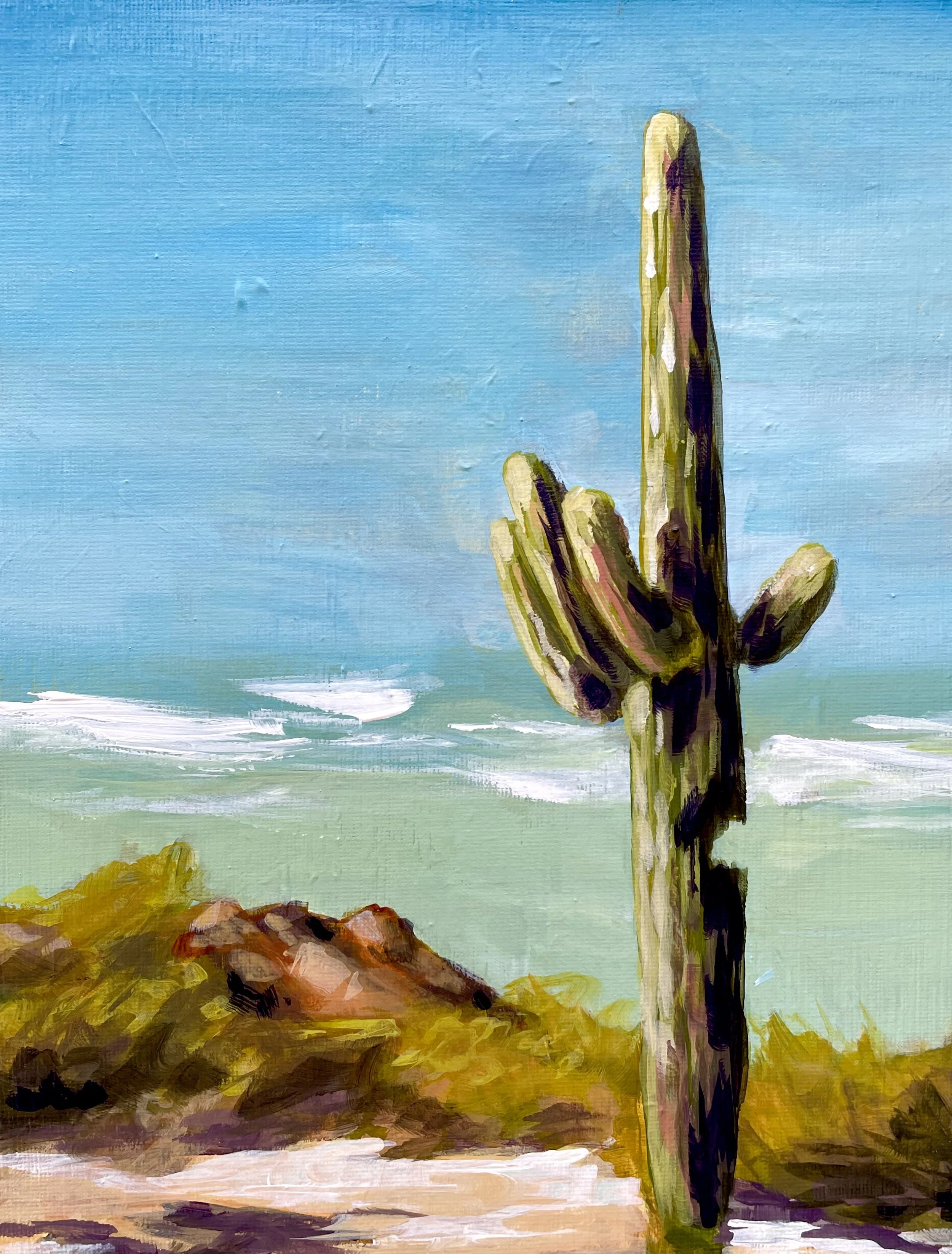 PATH OF THE SAGUARO.jpg