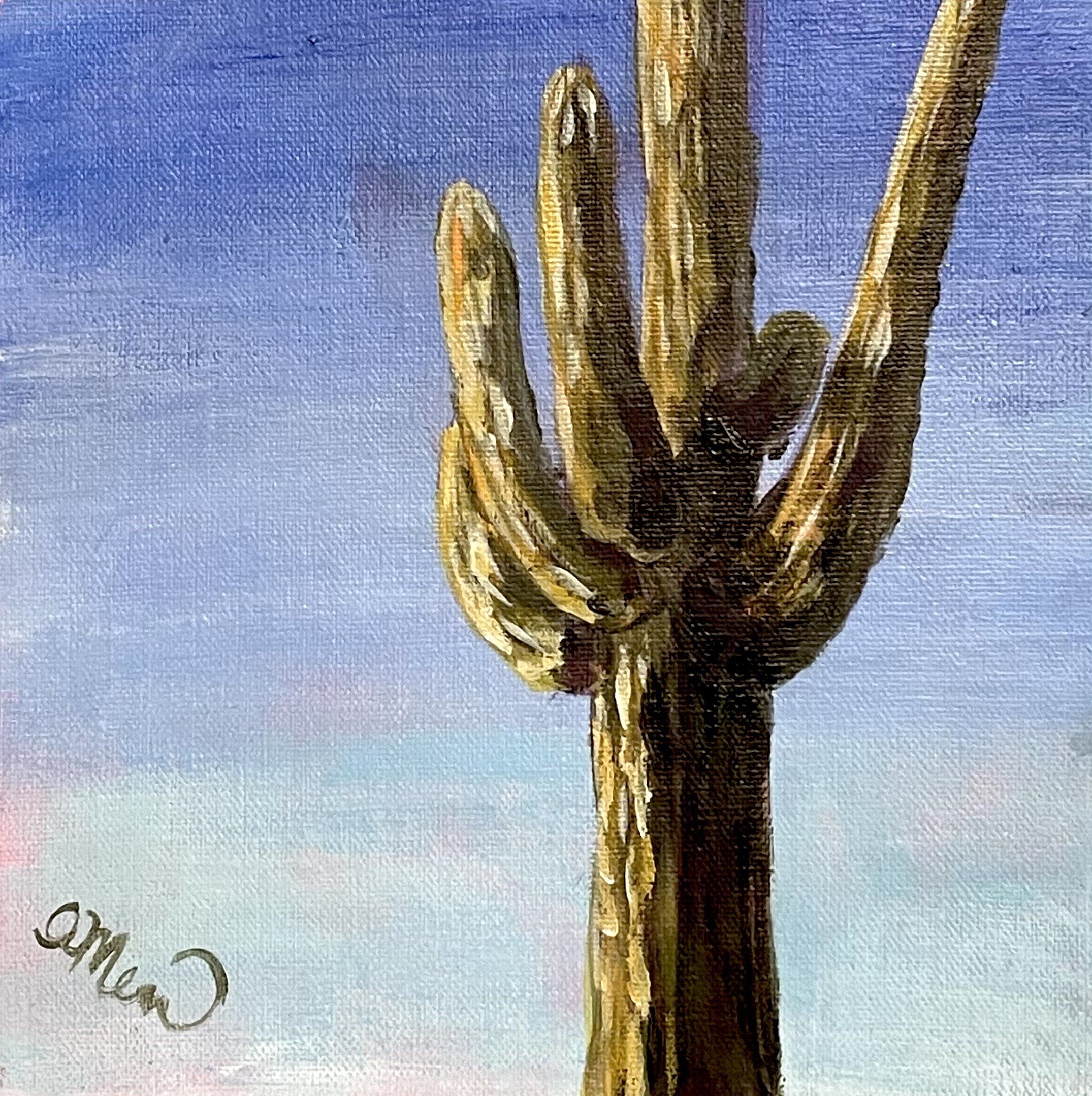 SAN TAN SAGUARO.jpg