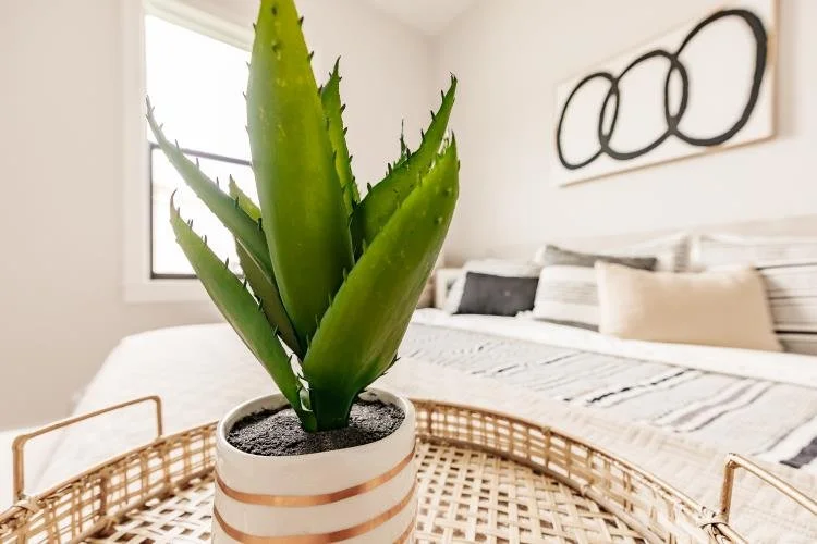 Anna Gray Designs-Interior Designer-Kristin Parr-dp1qyscbrs.jpg