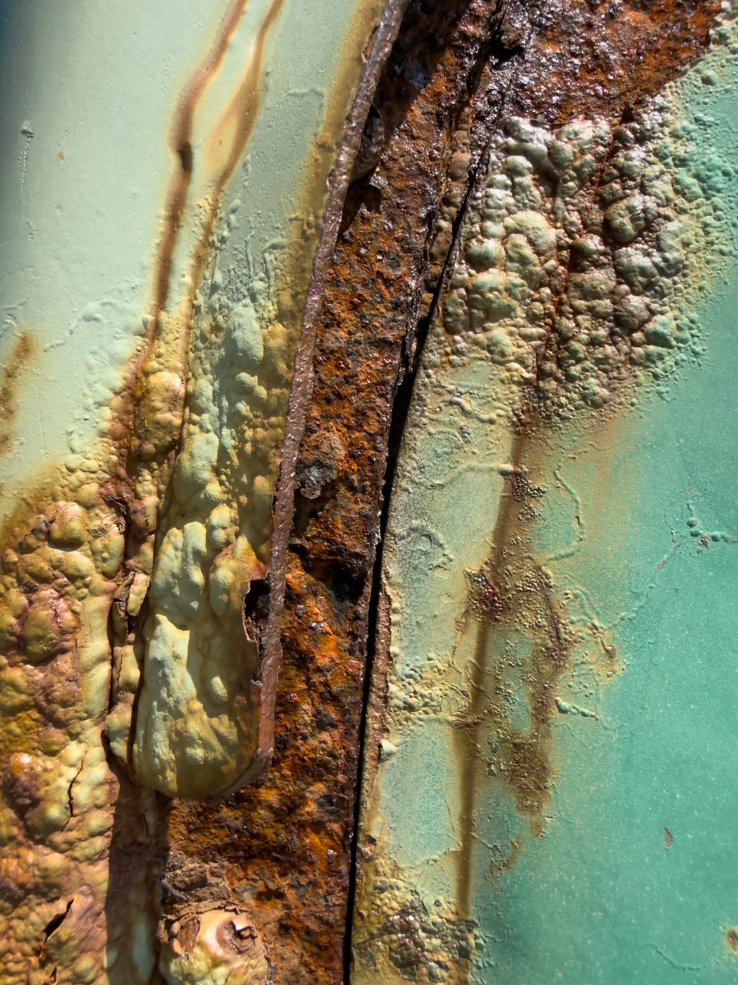 Rust Collection-8.jpg