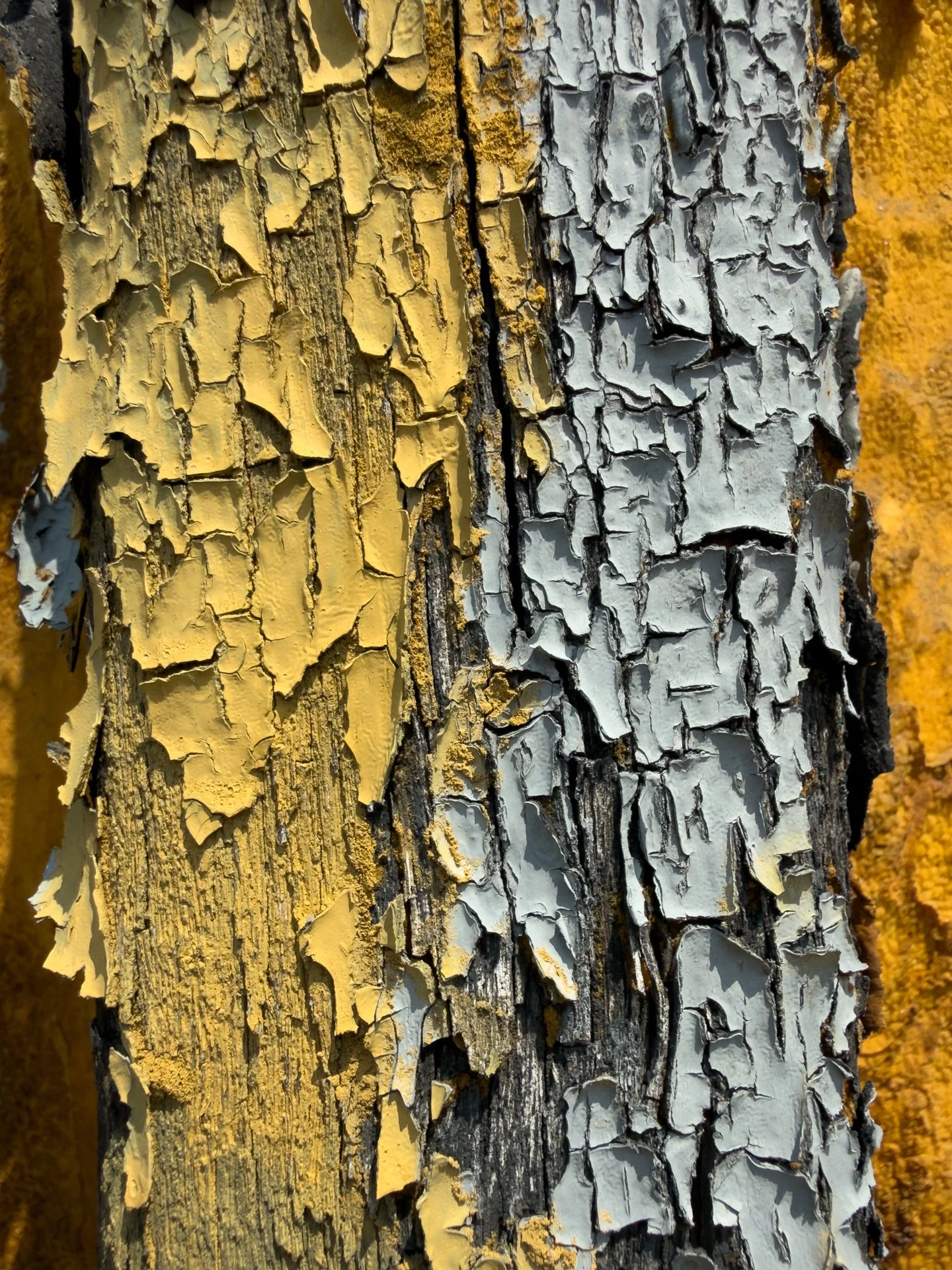 Rust Collection-2.jpg