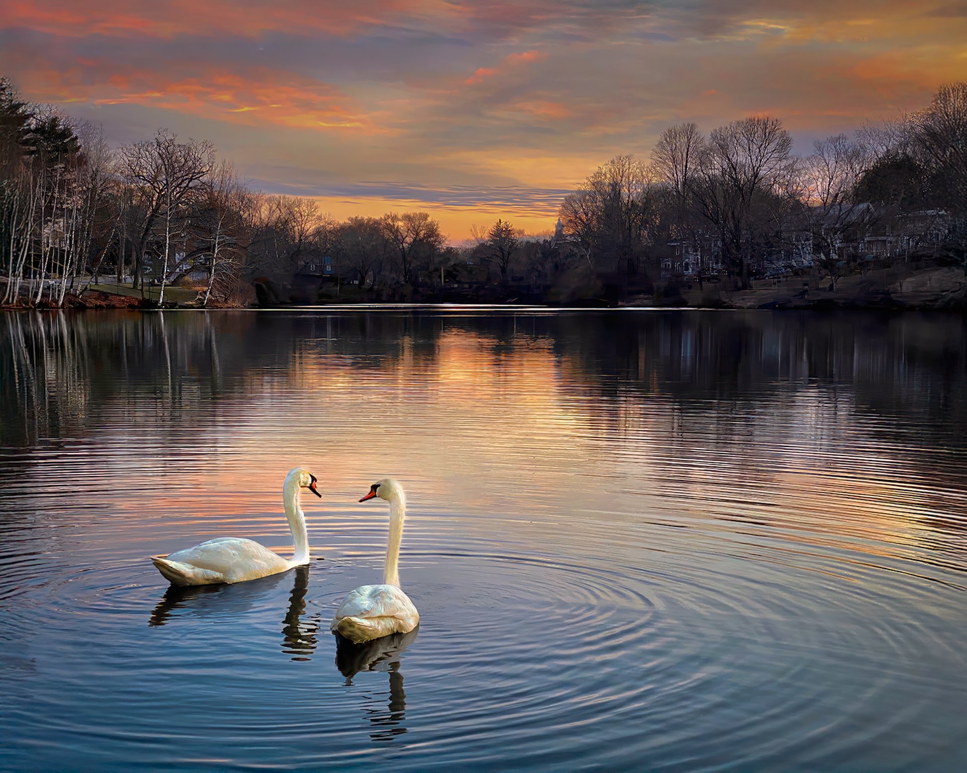 Love Blossoms at Bullough's Pond