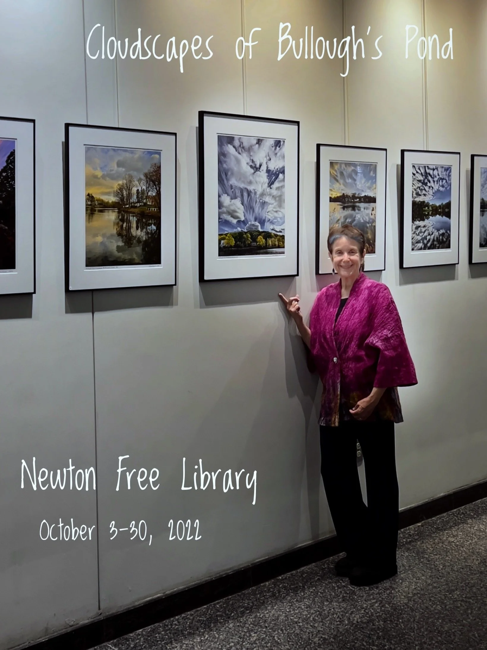 Bullough's Pond Library Show 2022 Installation.jpeg