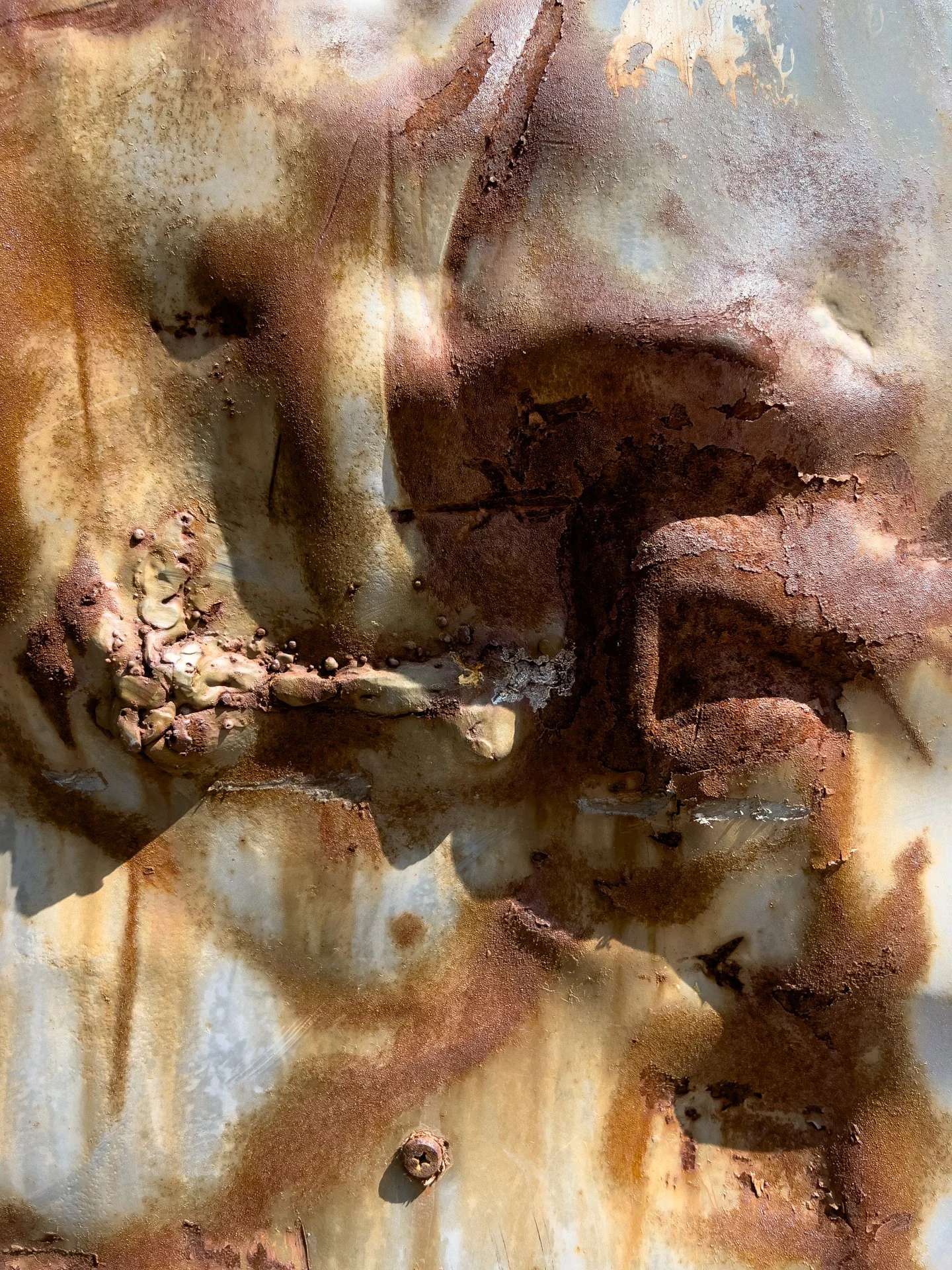 Rust Collection-4.jpg