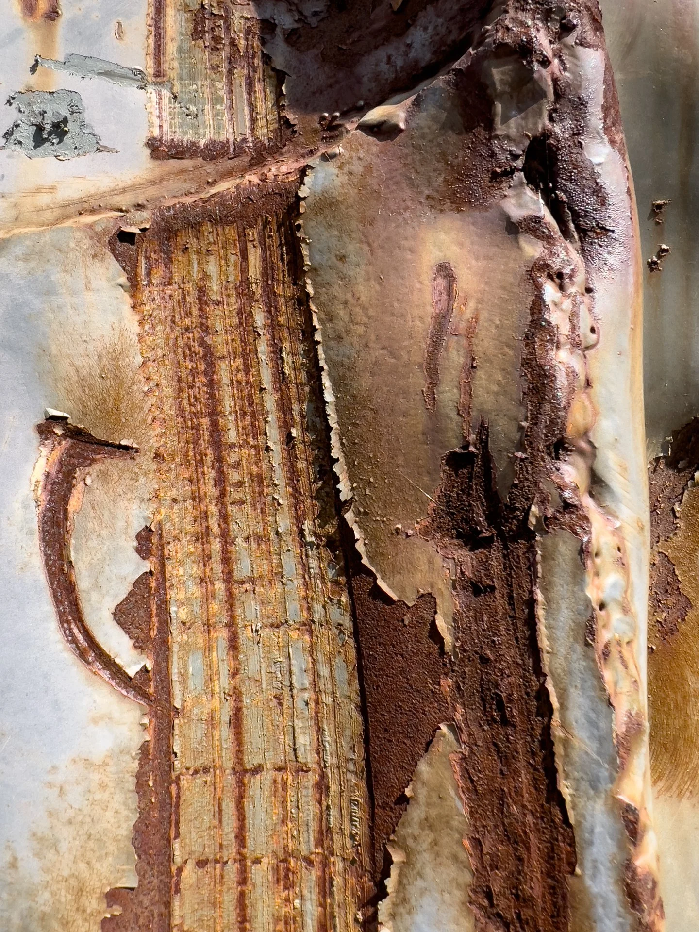 Rust Collection-5.jpg