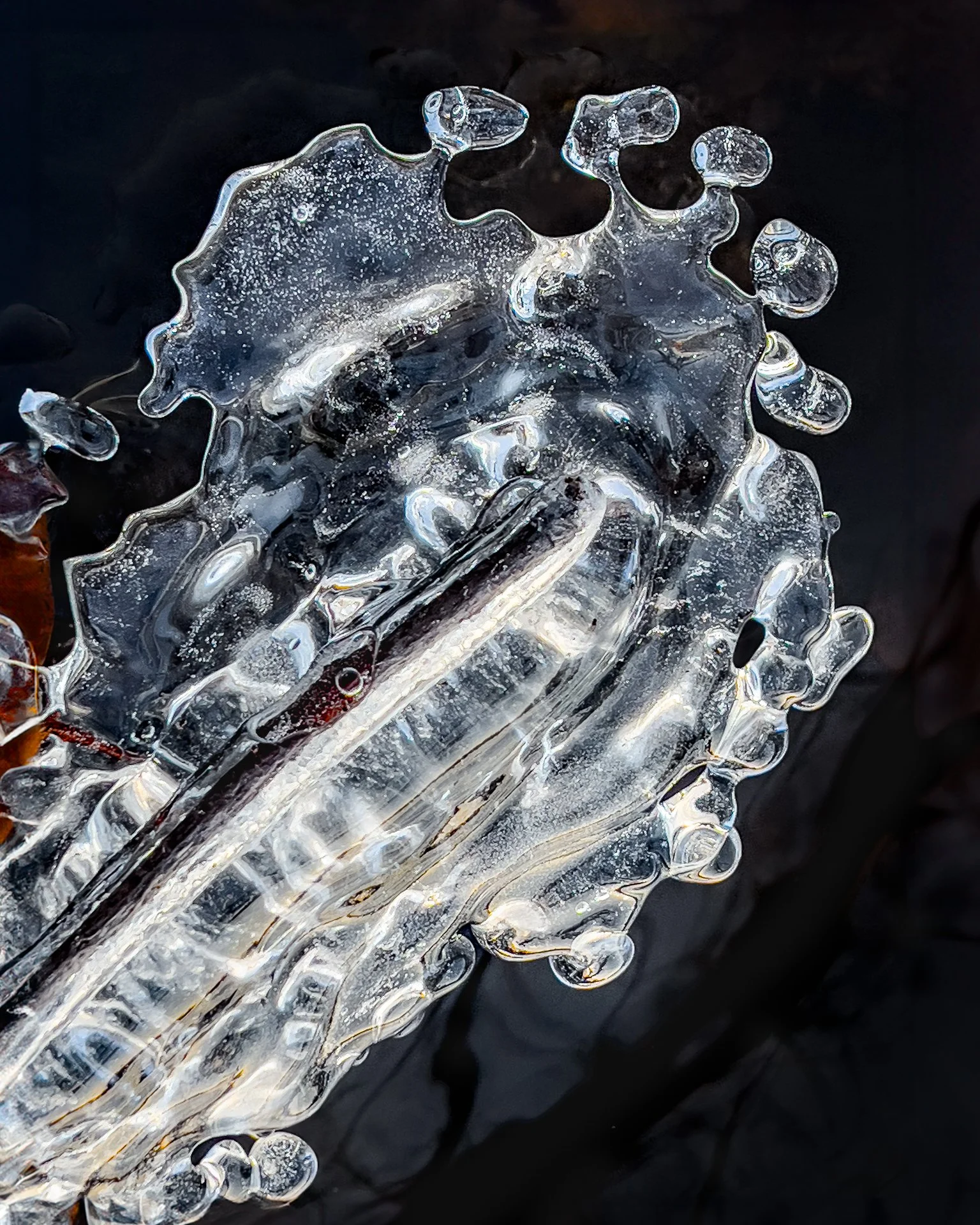 19 Bulloughs Pond Elegant Ice.jpg