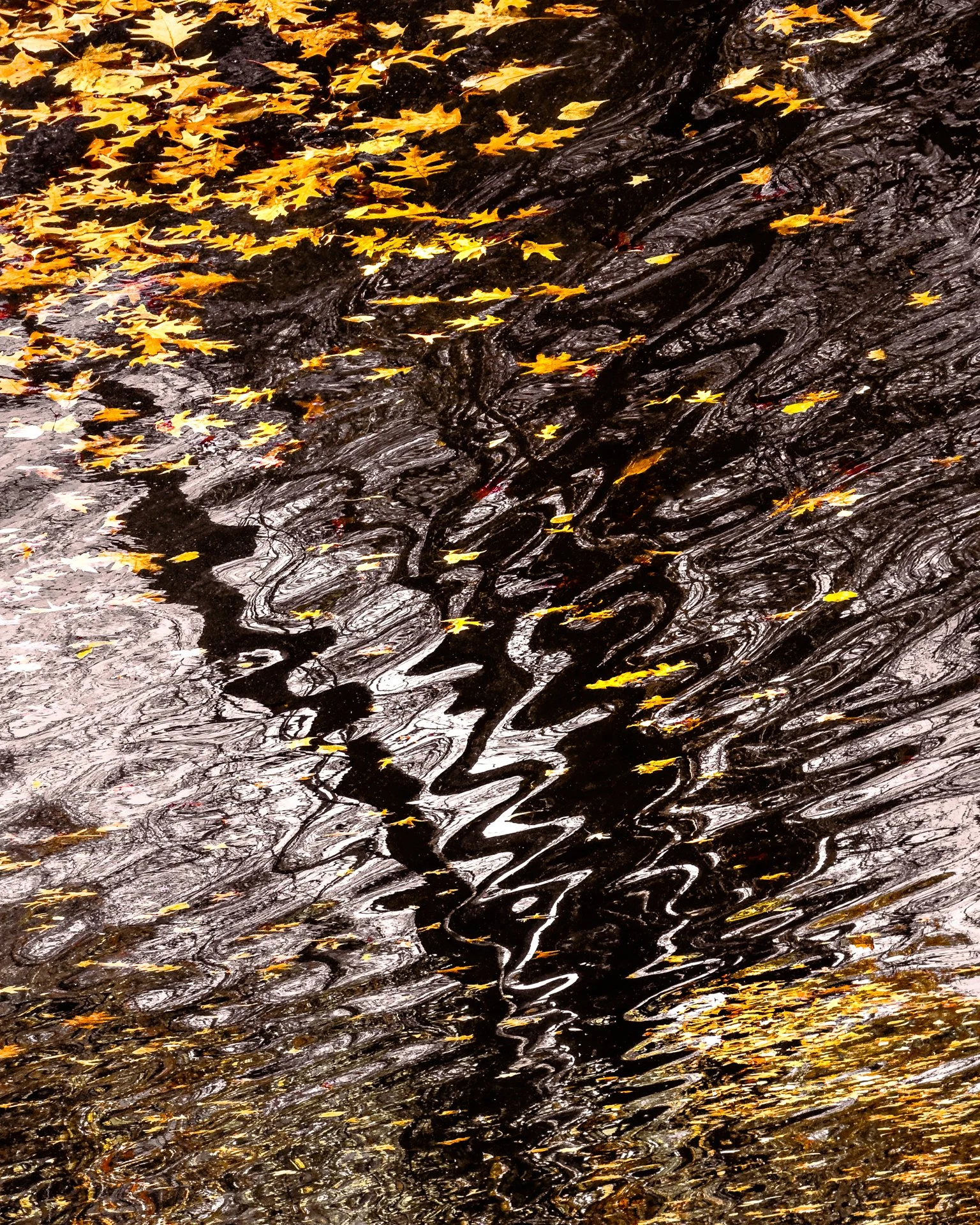 Autumn Impressions #2