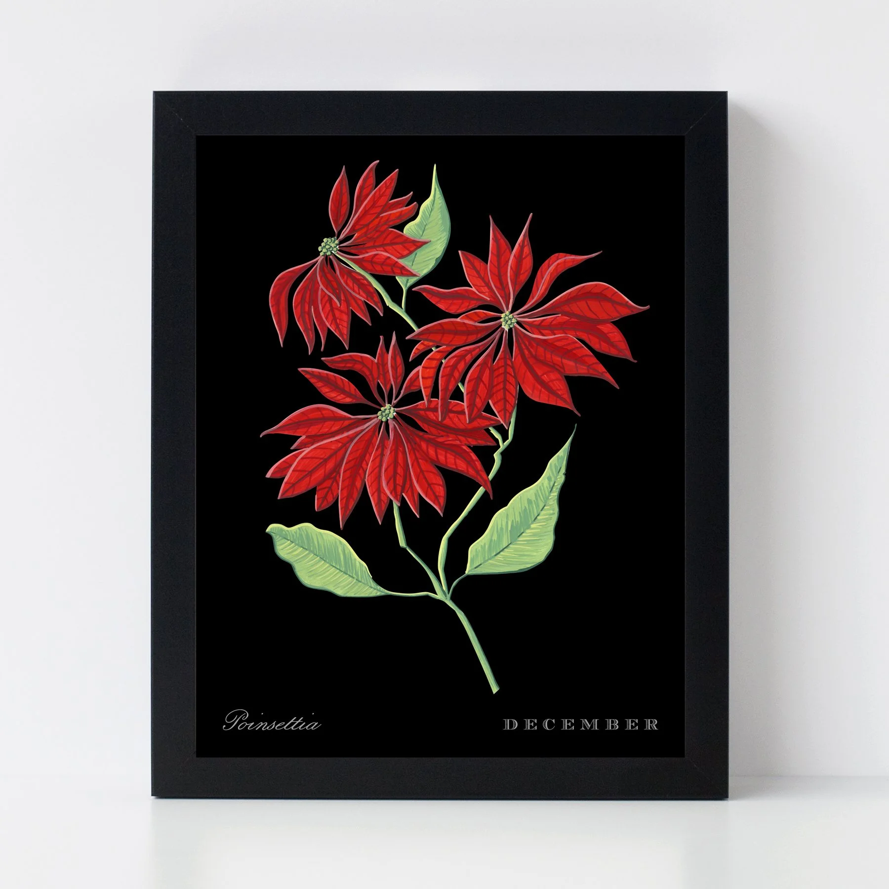 JEN-BIRTHFLOWERS_DEC_01 copy.jpg