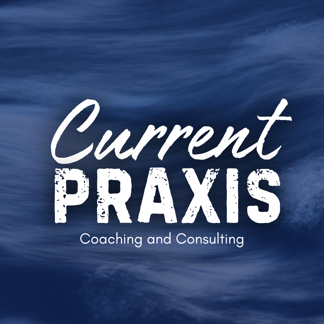 FINAL Current Praxis.png