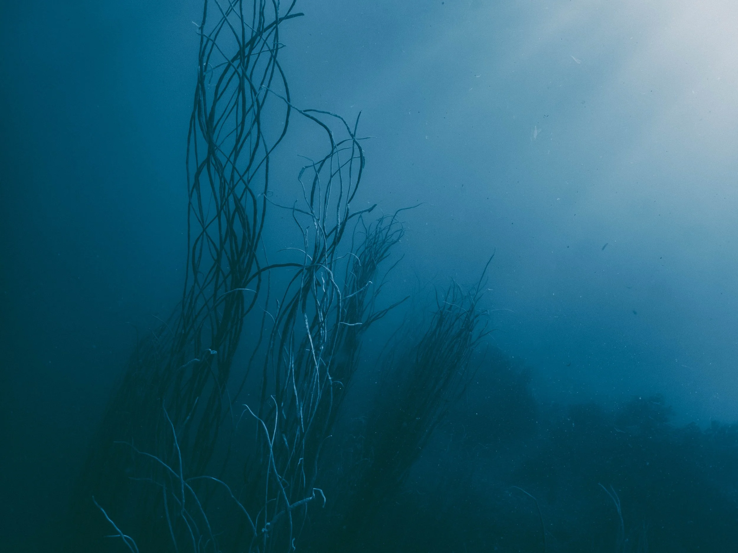 P4270192-Avec accentuation-Bruit.jpg