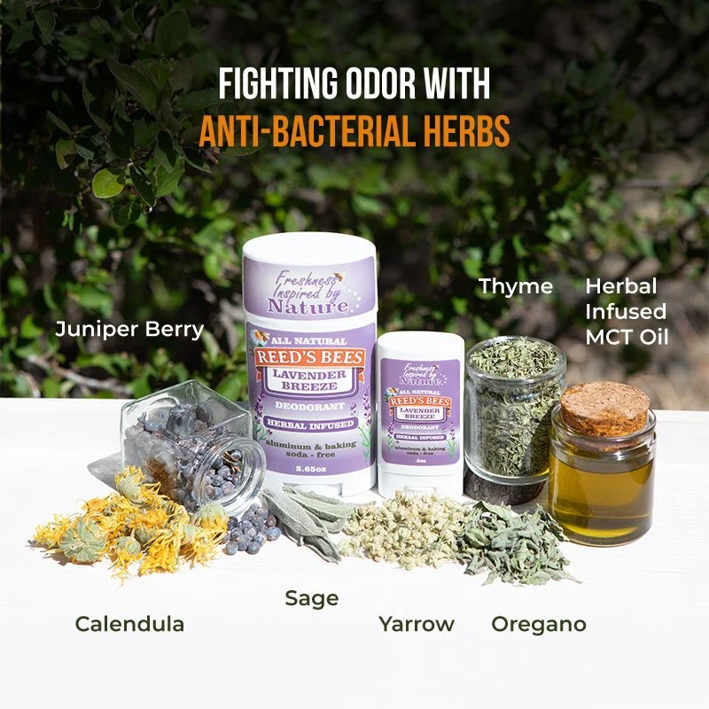 Deodorant-Lavender-Ingredients-Display.jpg
