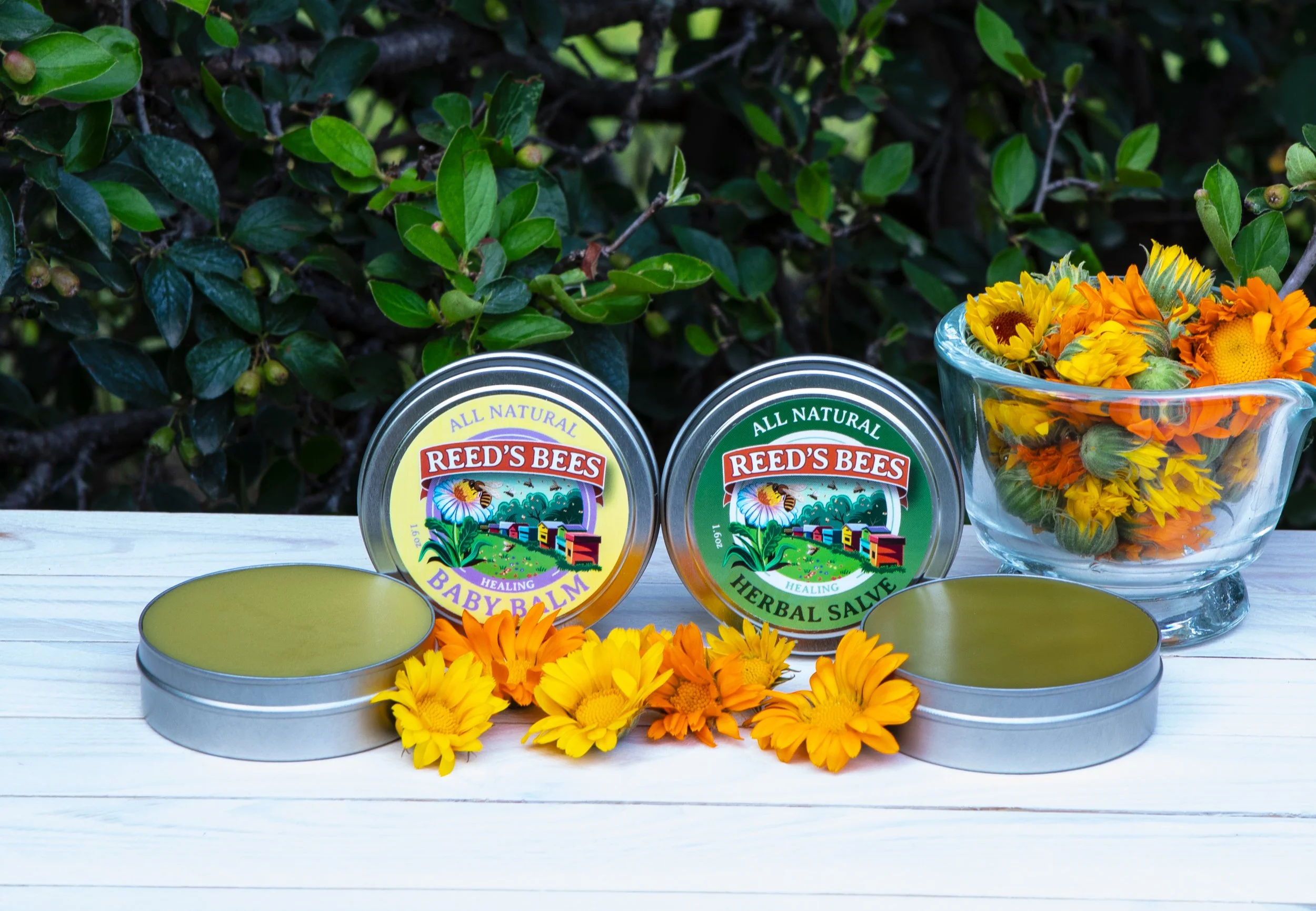494A6623 BB and HS with calendula.jpg