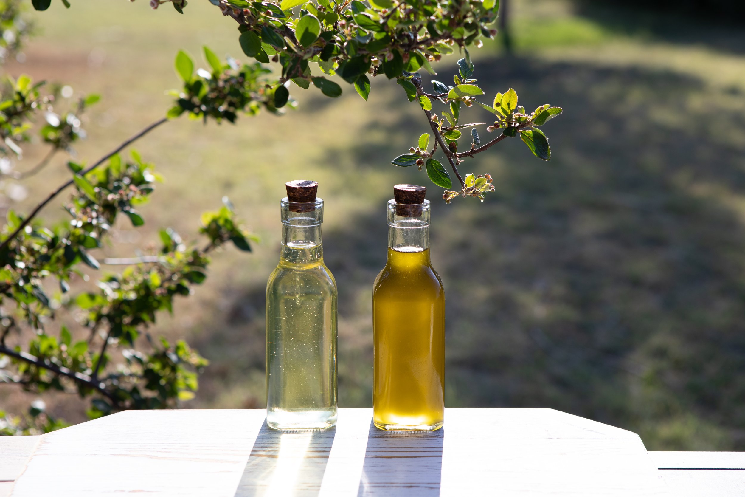 Herb infused Oils