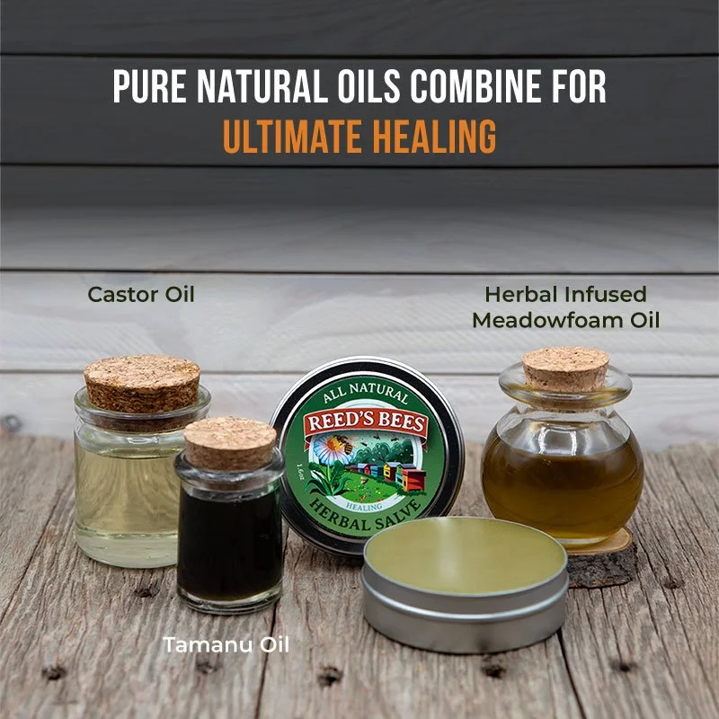 Herbal-Salve-Ingredients.jpg