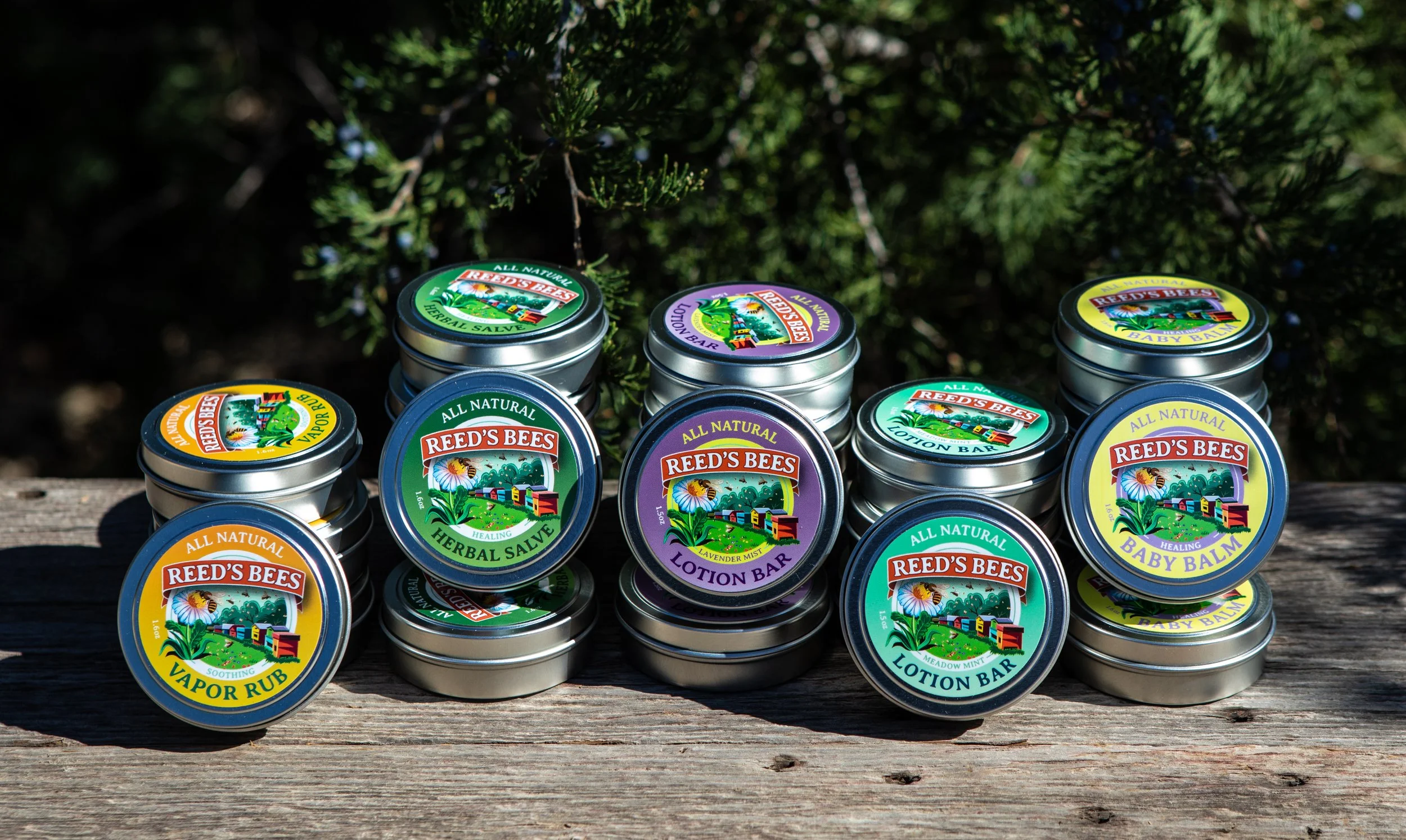 494A6327 all tins on old wood.jpg