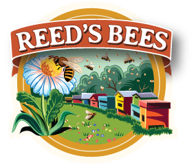 Reed's Bees