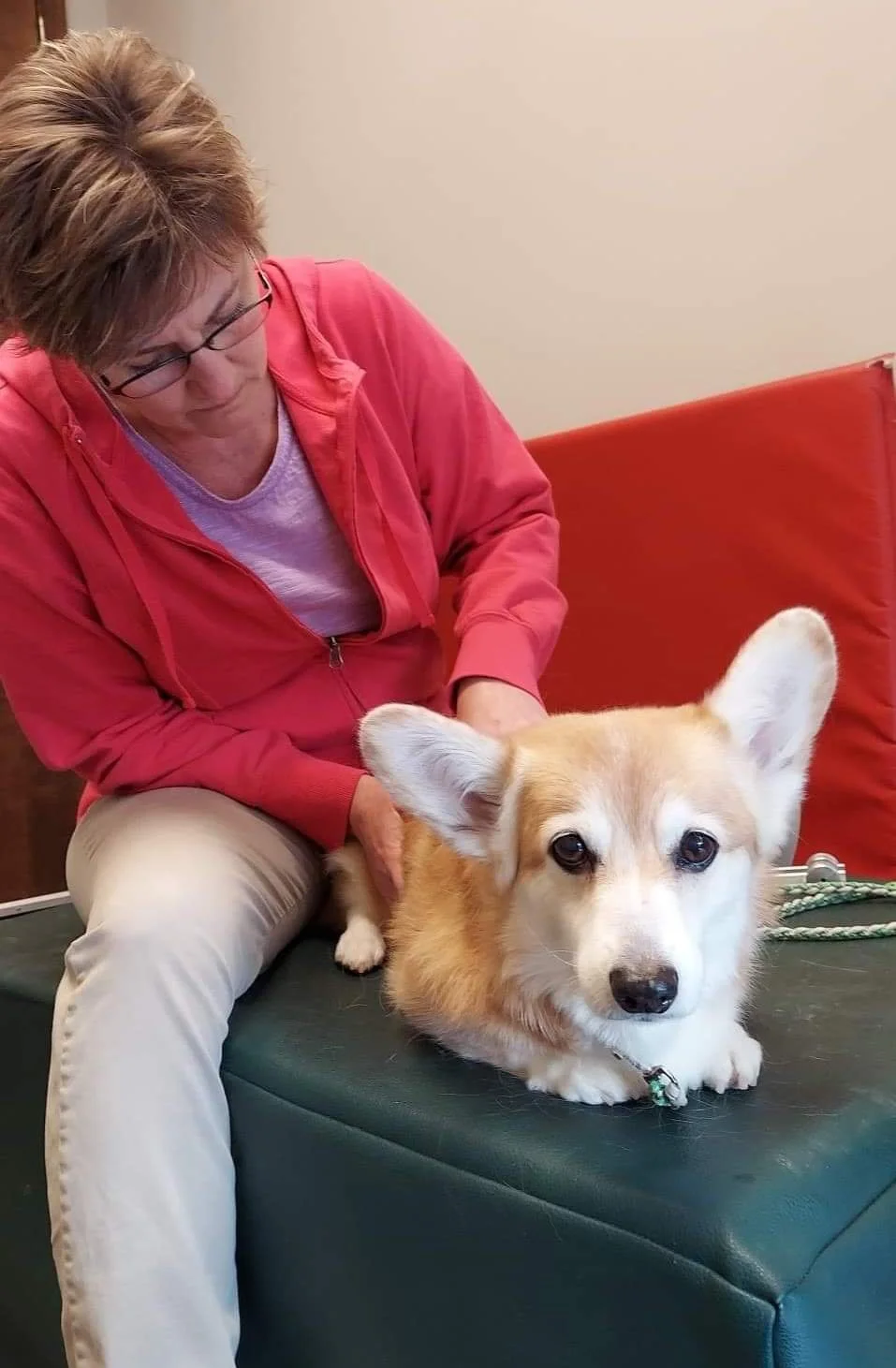 N-Balance Restorative Pet Health