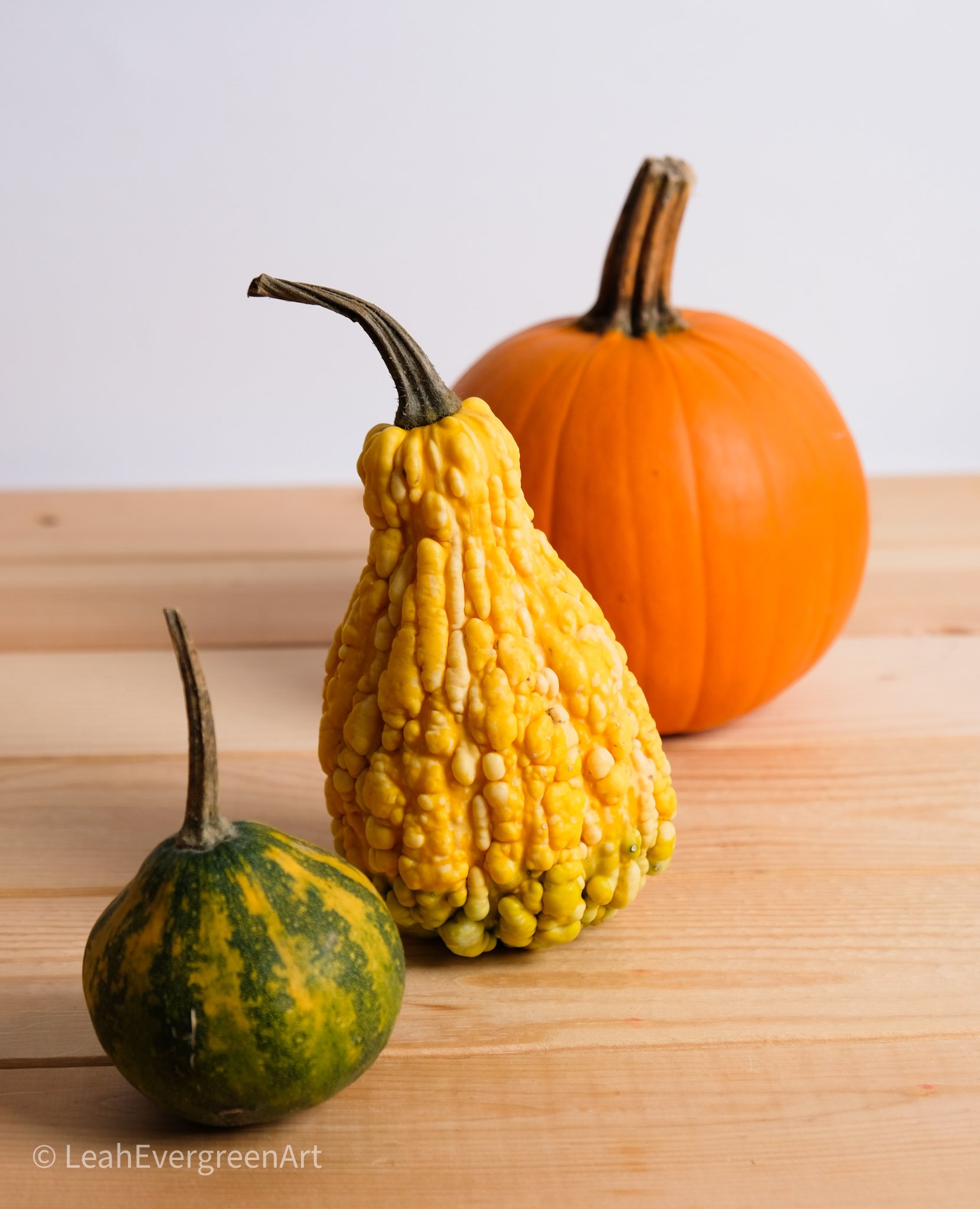 Leah-Evergreen-Library-FallTheme-21.JPG