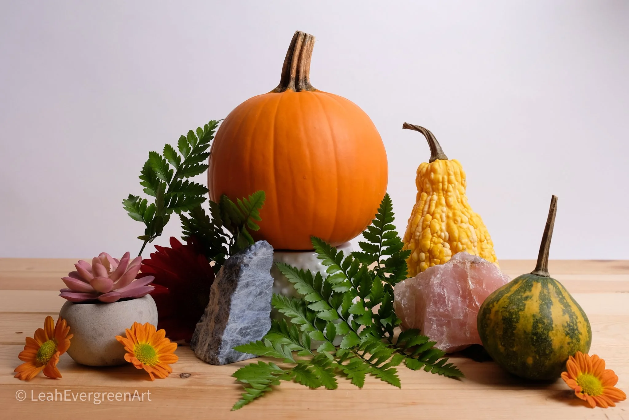 Leah-Evergreen-Library-FallTheme-20.JPG