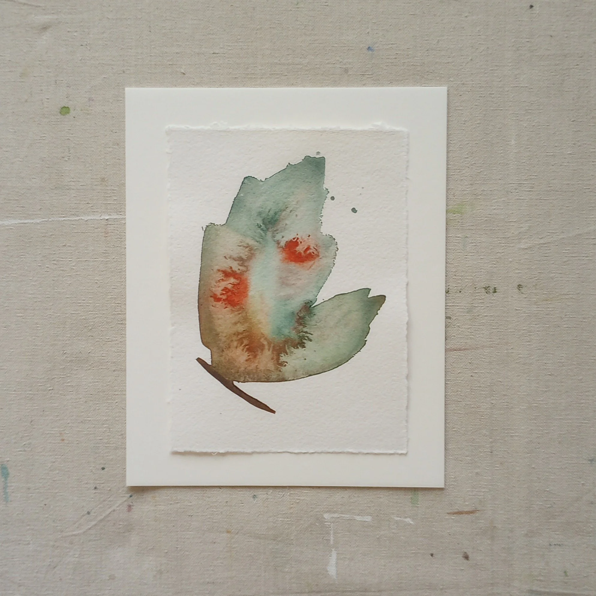 Mothwing 6 | Coastal Sea